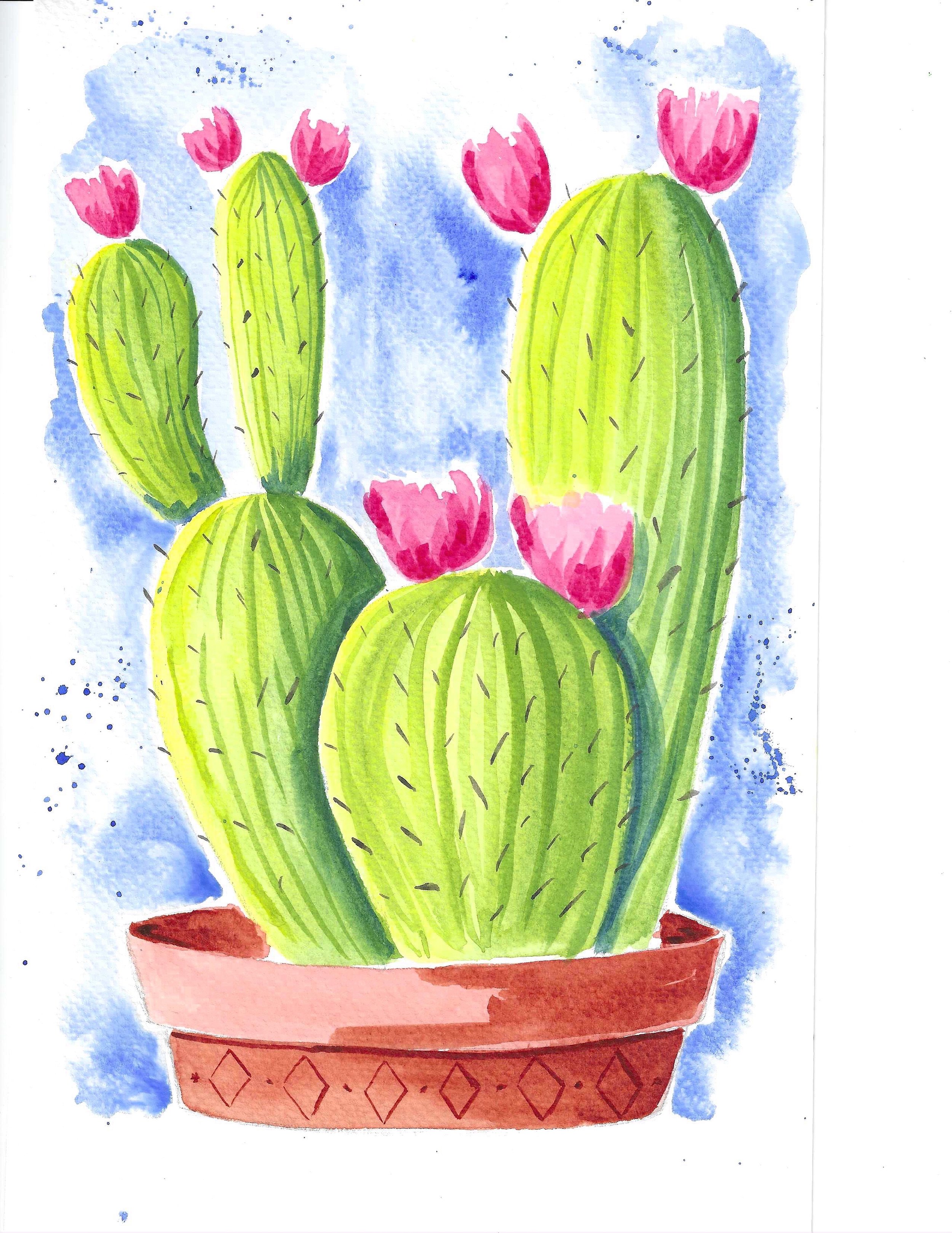 Potted Cactus