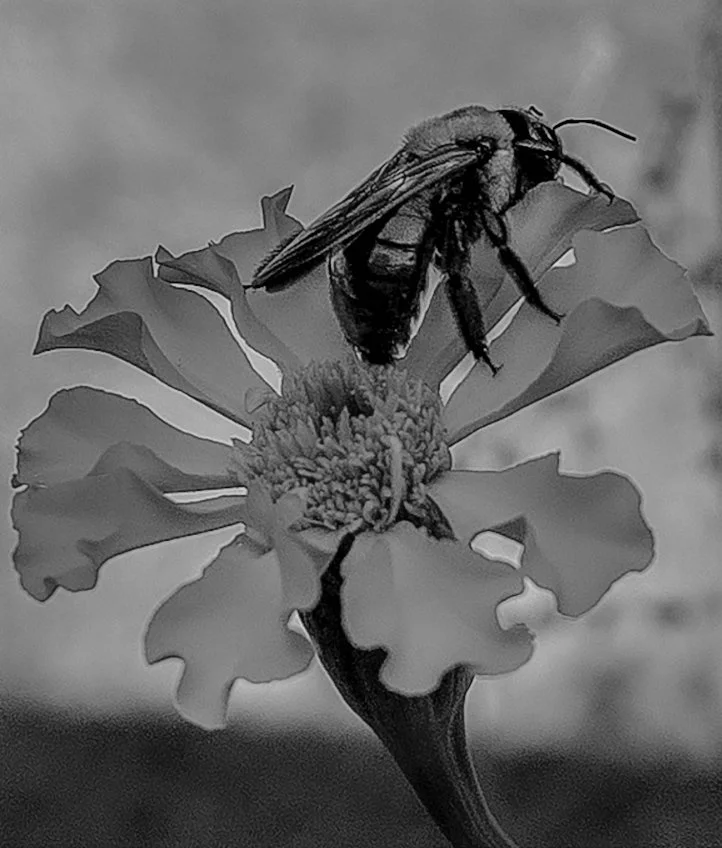 _DSC0151-Edit-2.jpg