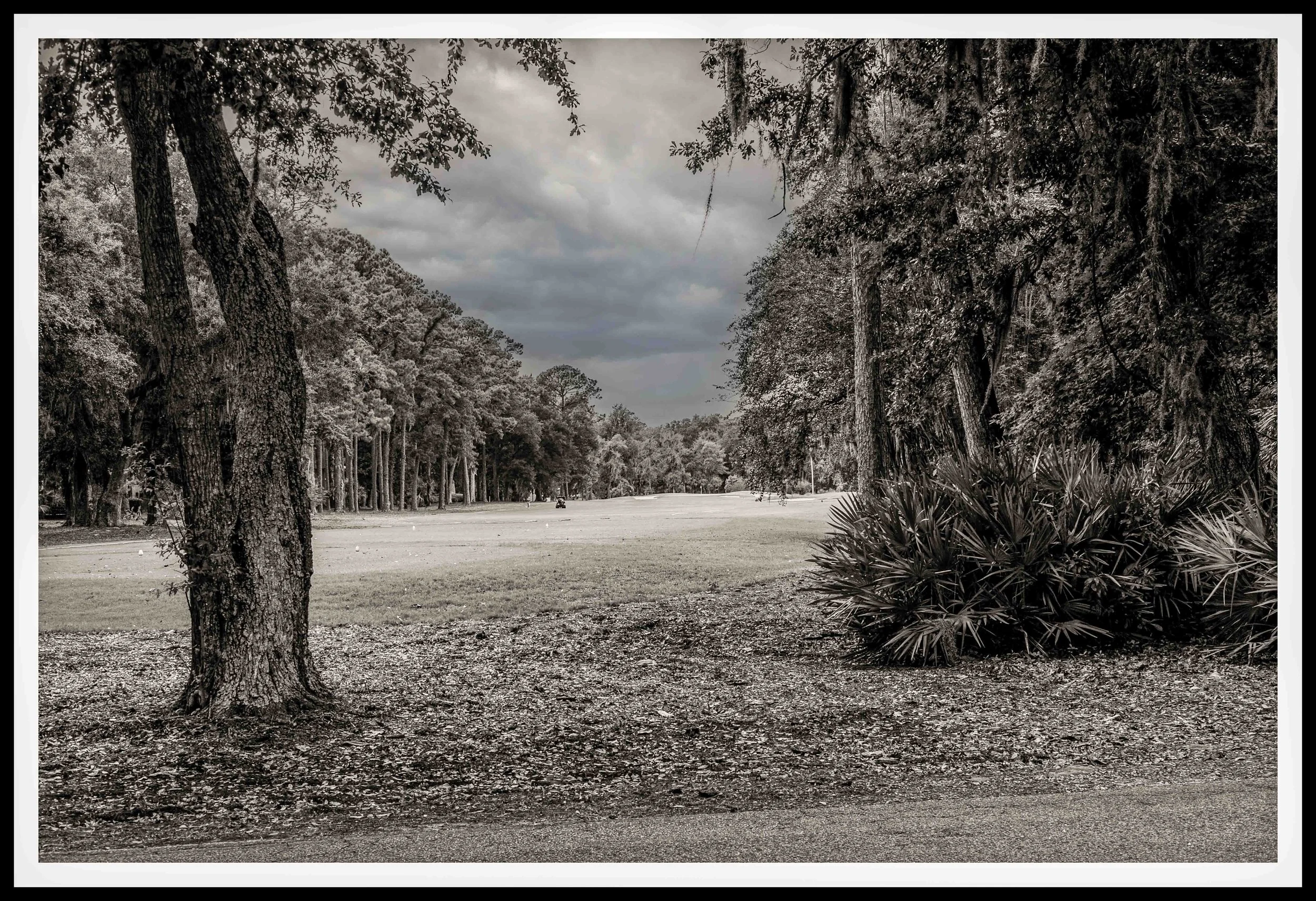 _DSC3587-Edit-2.jpg