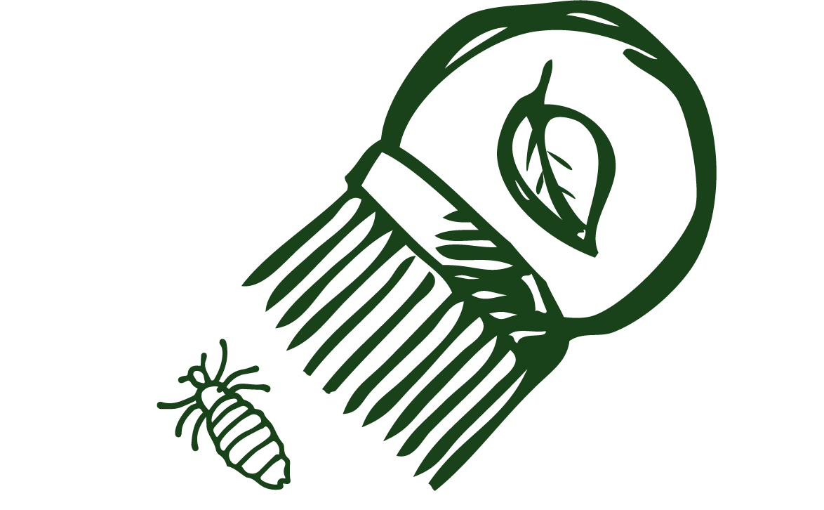 Professional Lice Removal Services in Orange County LiceFree Care