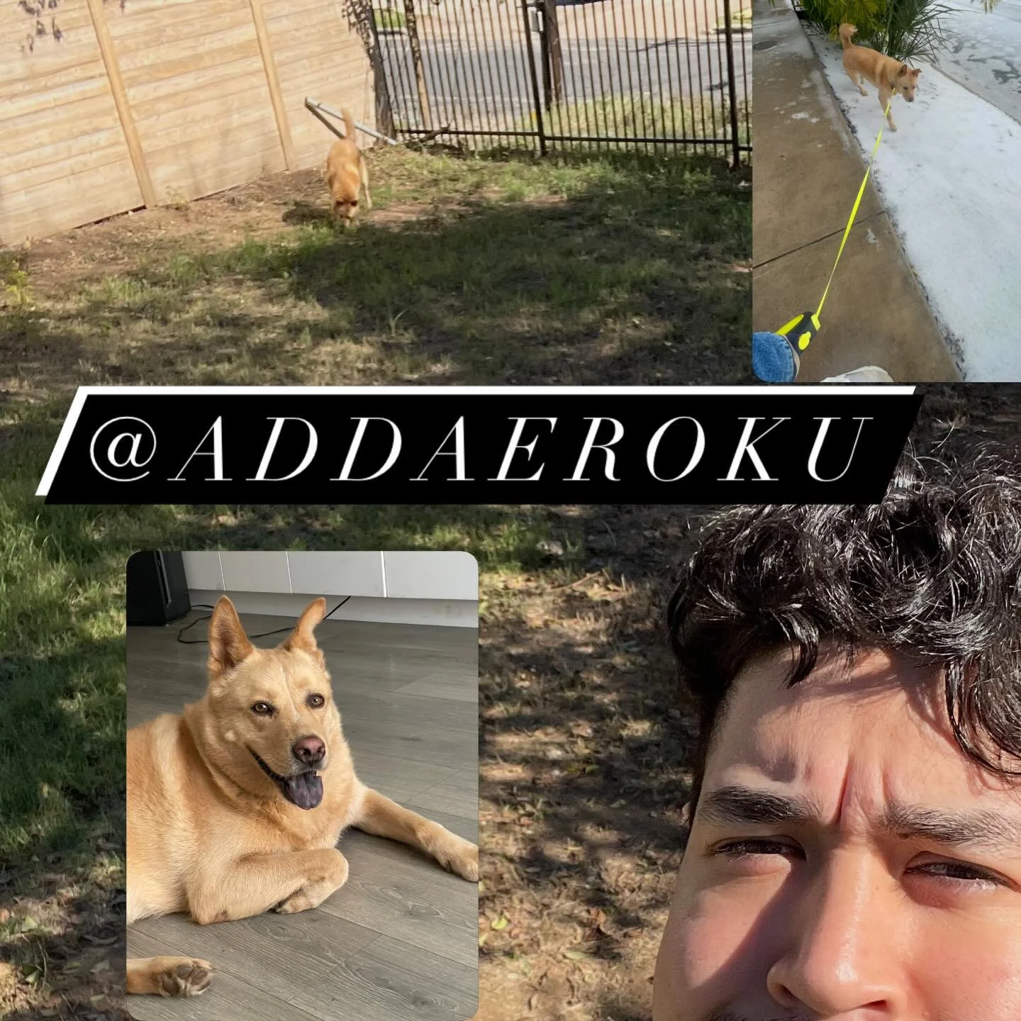 Like, follow, subscribe, worship, pray for, bless, and pet Addae