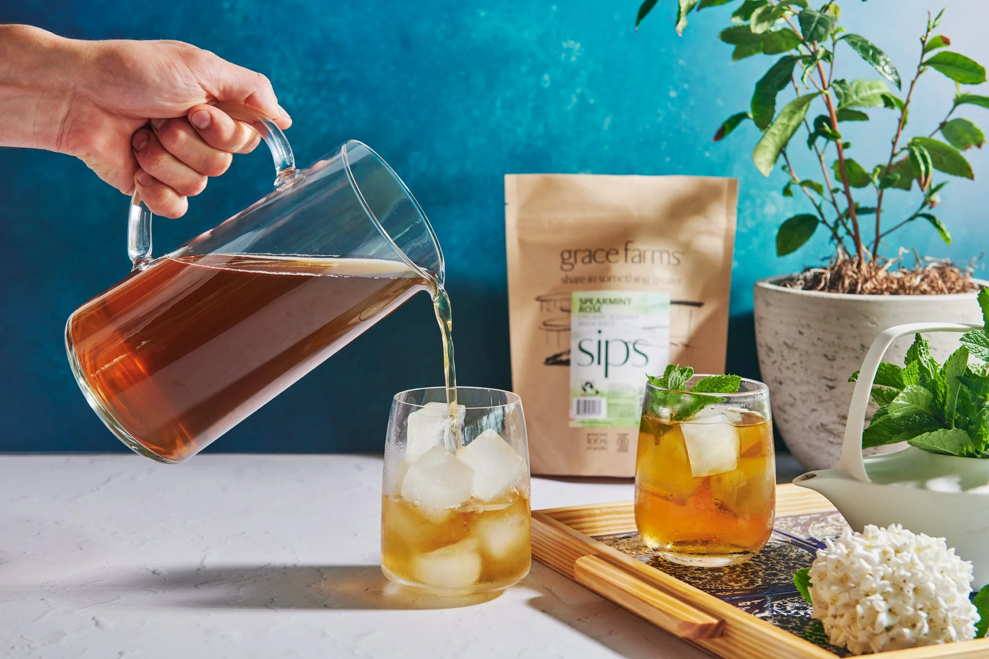 Case Study: Grace Farms Foods | Mission-Driven Growth through Strategic Digital Engagement