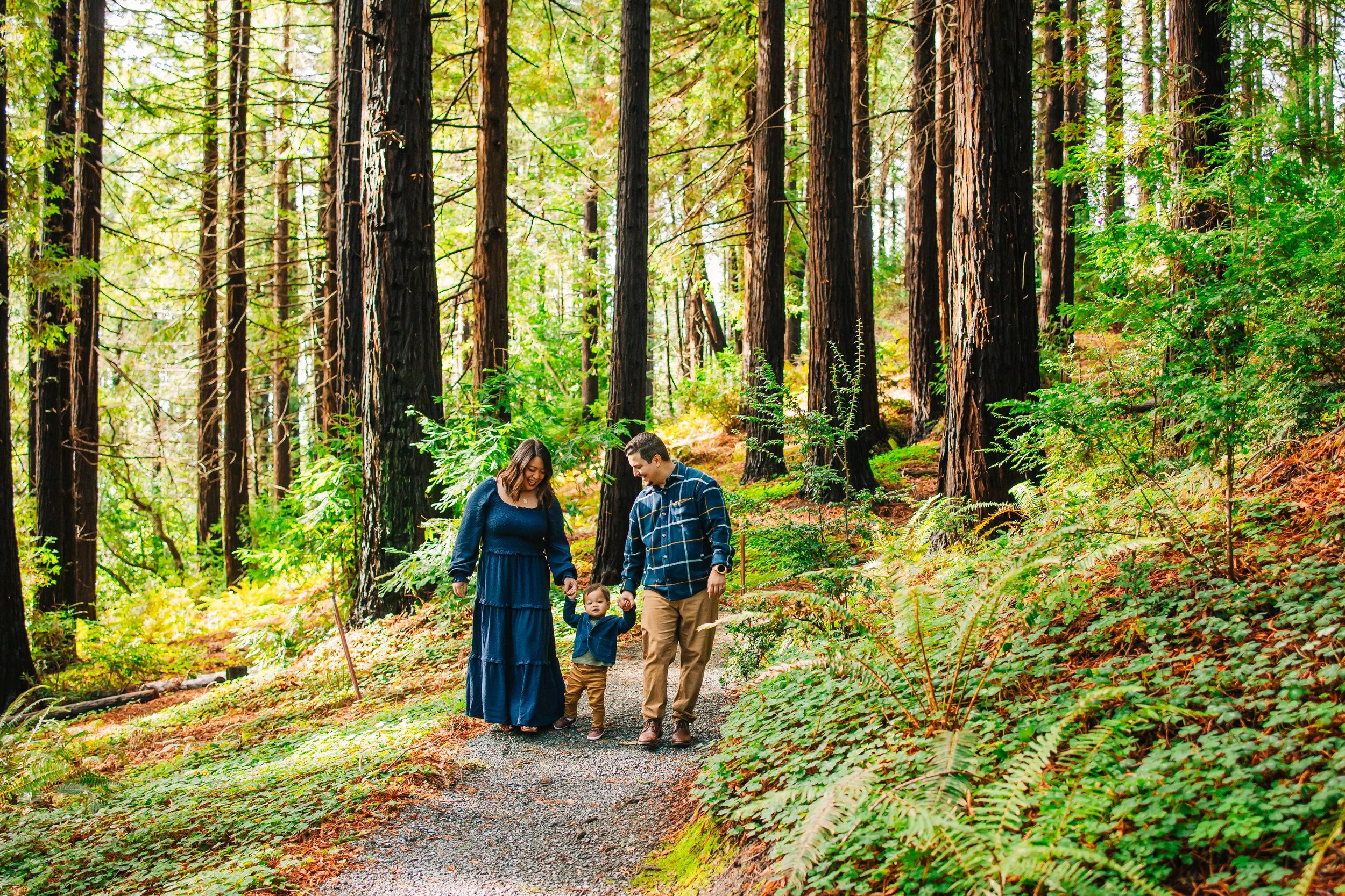 Family of three walking on a forest trail with tall trees and green plants.