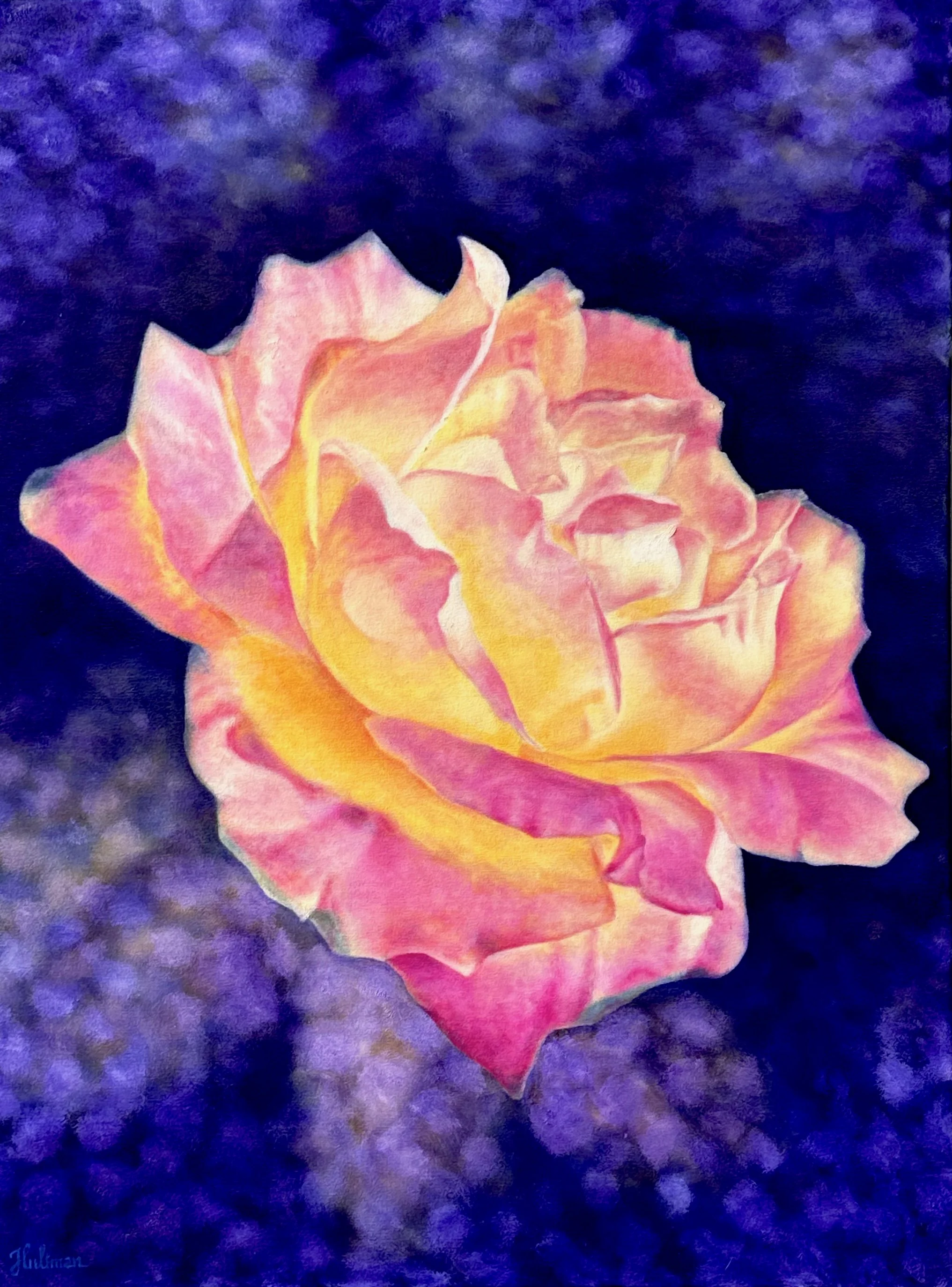 FrenchRose-New.jpeg