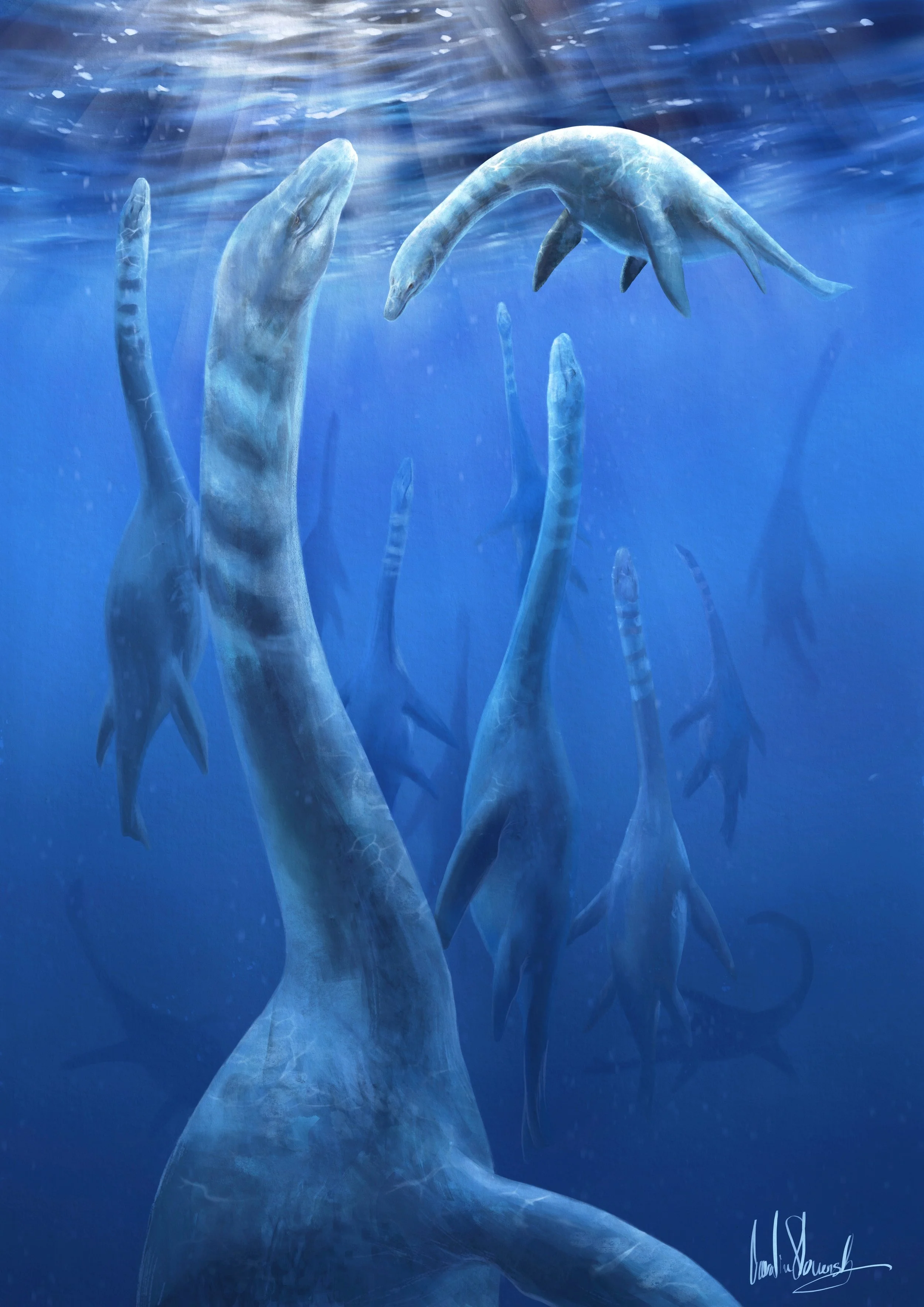 Attenborosaurus Rest
