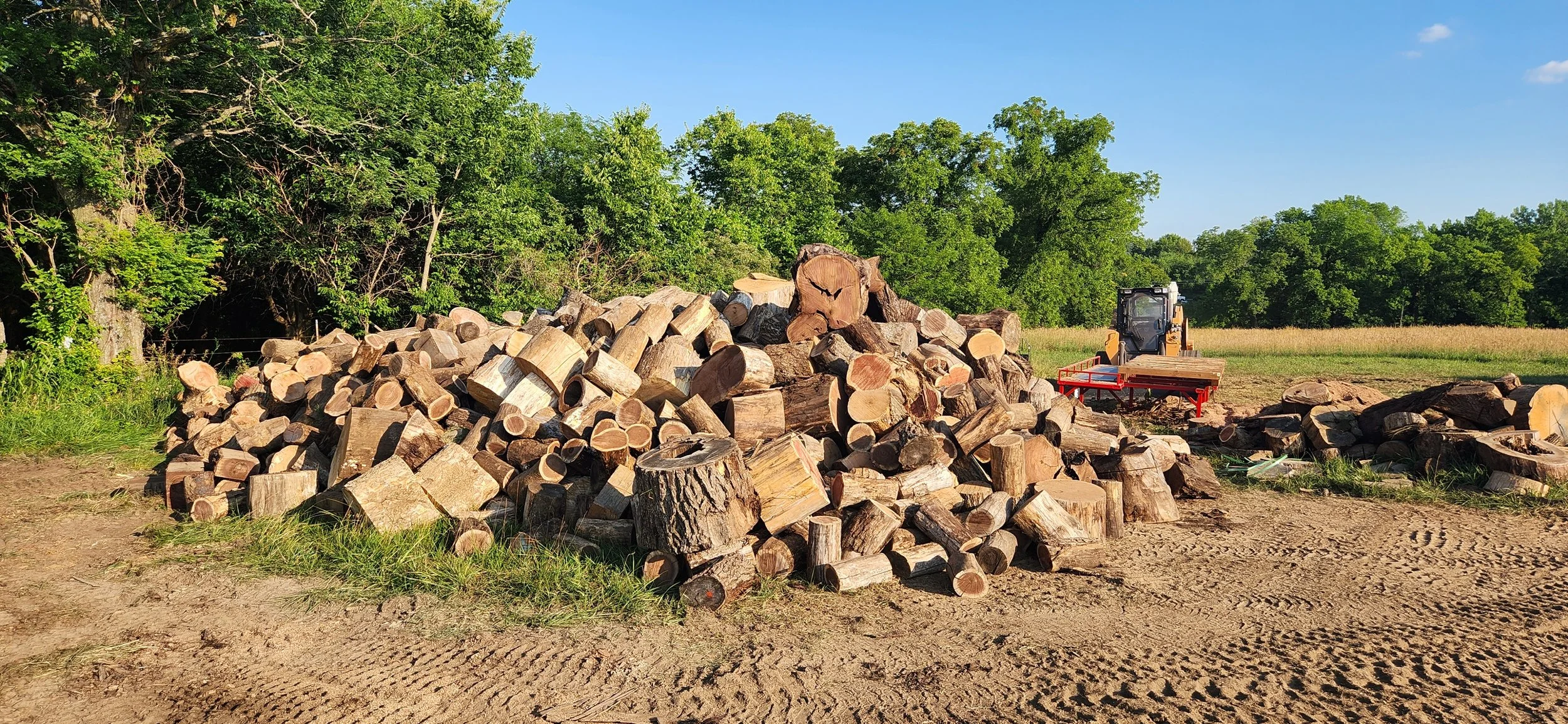 Clearing Timber