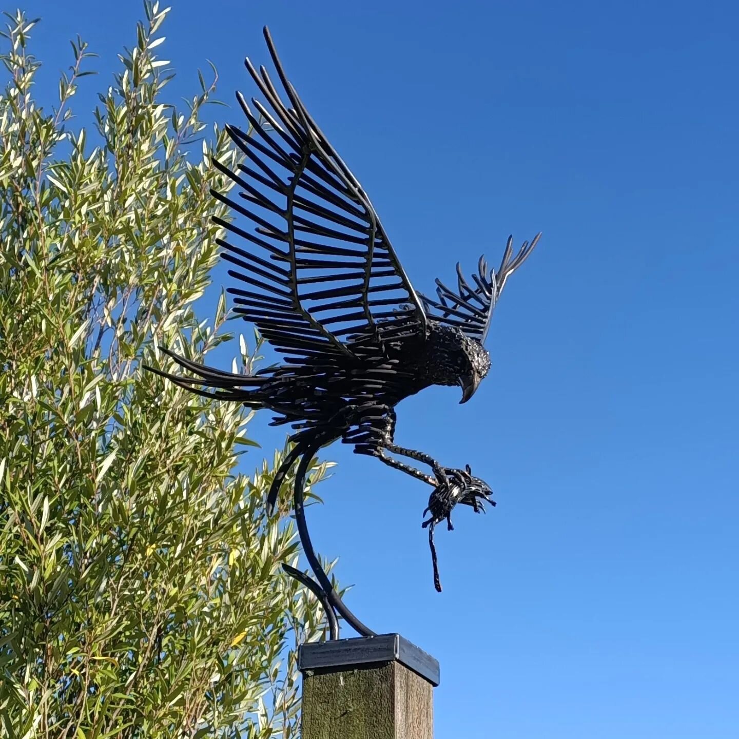 I've been busy lately with a new kind of art ! Big thankyou to Steve  and Jen and the team @ Wanaka metalworks this Falcon made with Stainless steel and metal rod sold within hours of being on display! 

#metalworkswanaka #metalworkswithadifference #