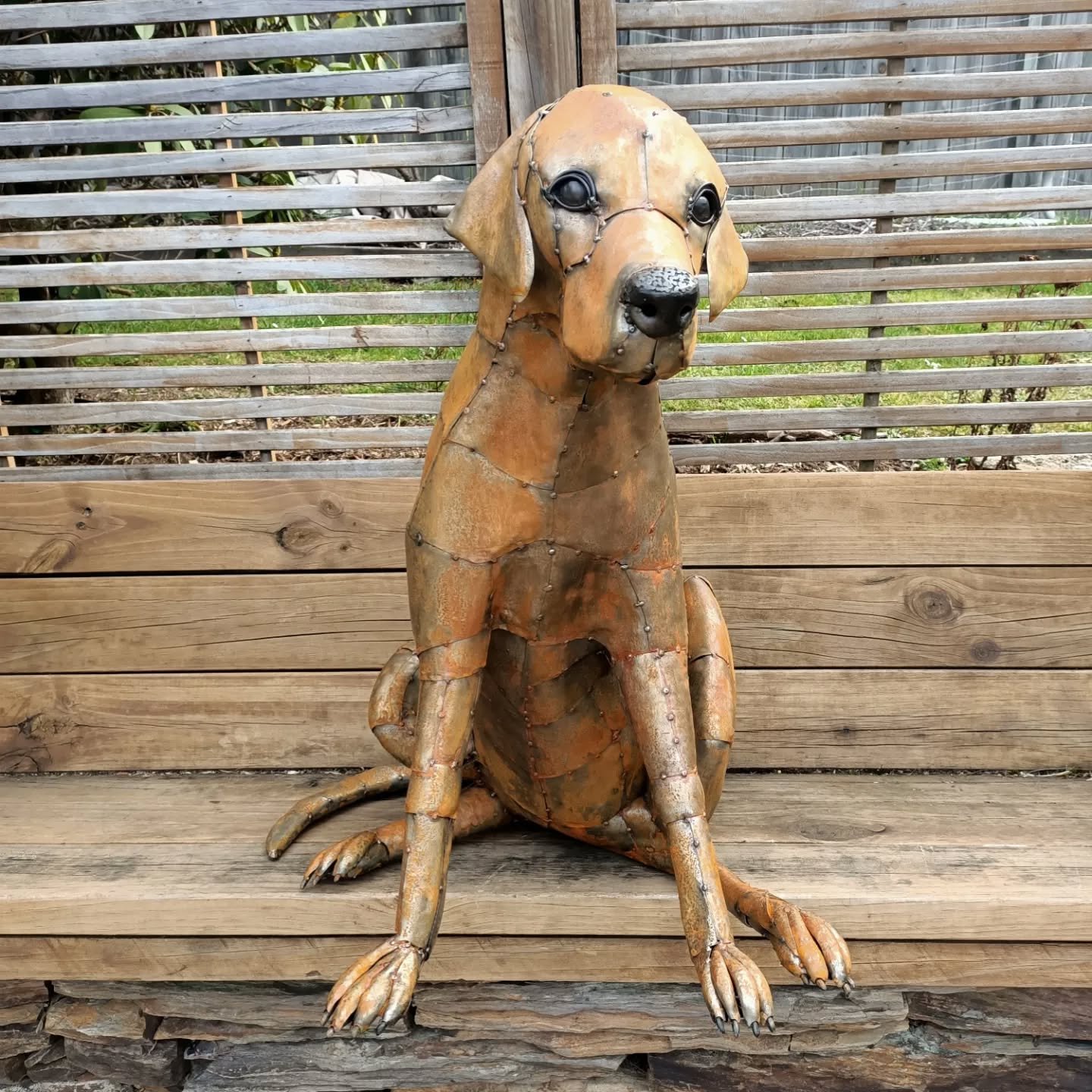 So stoked with this new dog! Contact me through my website or pm me if you want your own dog created in metal! Bit easier to look after these ones , don't eat much 😂

Southernsculpture.co.nz

#metalsculpture #doglover #doglovers #nzartist #dogsculpt