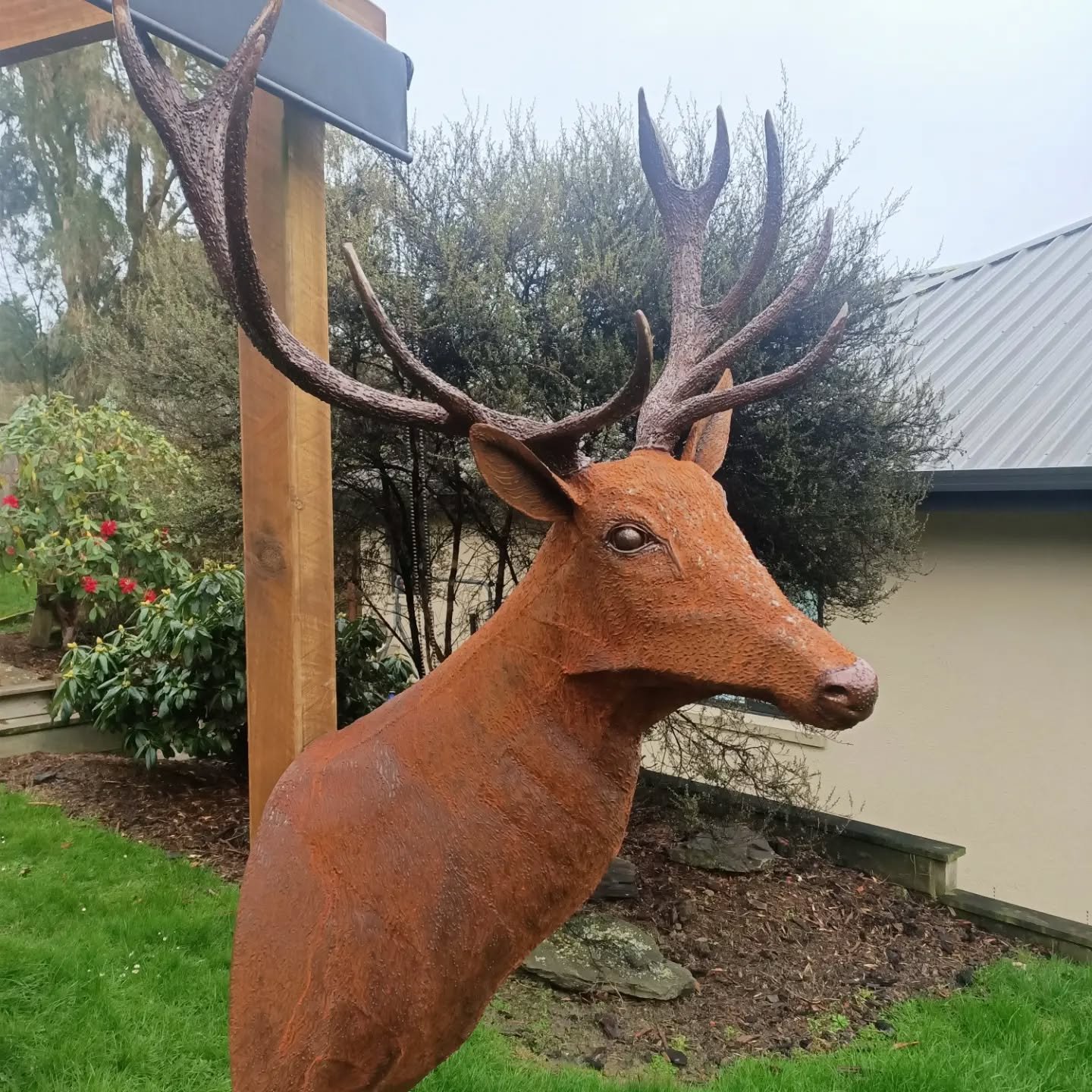 Red Stag Shoulder mount ready to hang in your man cave, inside , outside ,above your garage door, driveway entrance 100% steel,yes the antlers are steel! 

You can contact me through my website  www.southernsculpture.co.nz
 Commission's welcome! 

#m