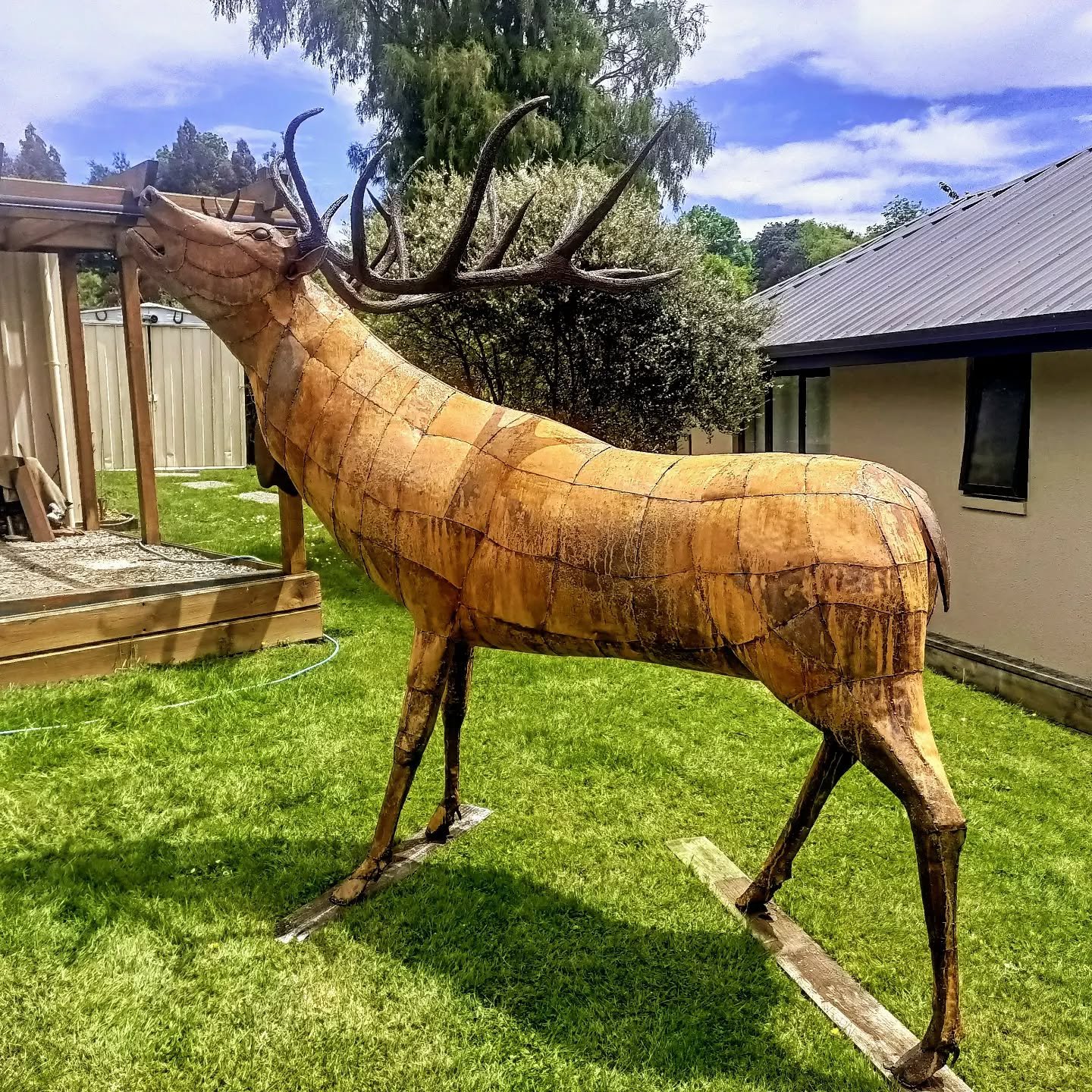 This big fella is nearly there! Just a bit more to do with the patina, sealer etc and he's done! Stands 2.3 meters tall ! Photo doesn't really show how big he is ,but seriously makes a statement! 

#metalsculpture #metalart #redstag #metalartwork #st