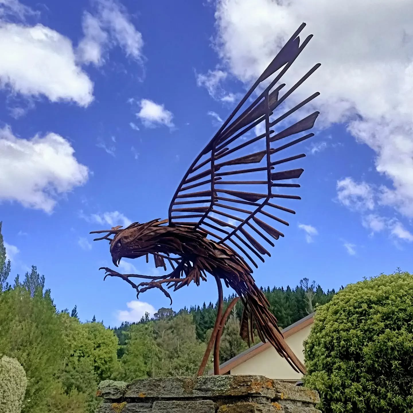 Hawk made from used plough disc's, just heavy enough I will say - 1.5meter  wing span ! 

#metalsculpture
#sculpture #art#artofinstagram #hawk #outdoorart #nzartist #nzart #steelsculpture #southernsculpture #recycledart #recycledmetalart