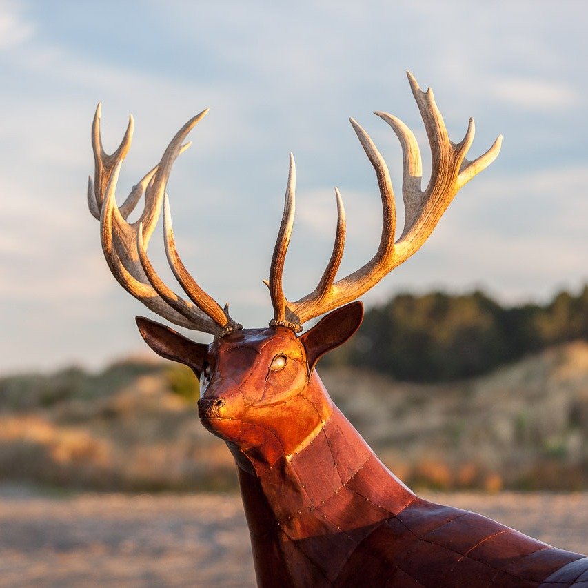 Latest Project By Brad Jackson - Red Stag with Real Antlers. 🦌

Feel free to contact through the website: www.southernsculpture.co.nz
Commission's welcome!

@southernsculpture.art 
Southern Sculpture 

#metalsculpture #sculpture #nzartist #nzhunting