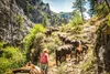 Double Rafter Cattle Drives