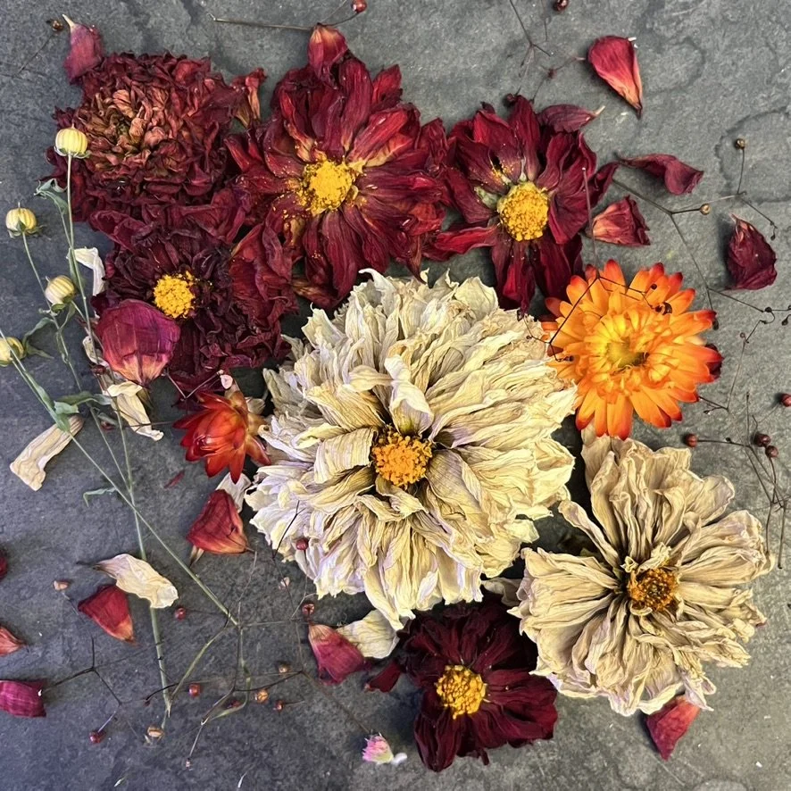 Dried flowers from Bowker Creek Flower Farm