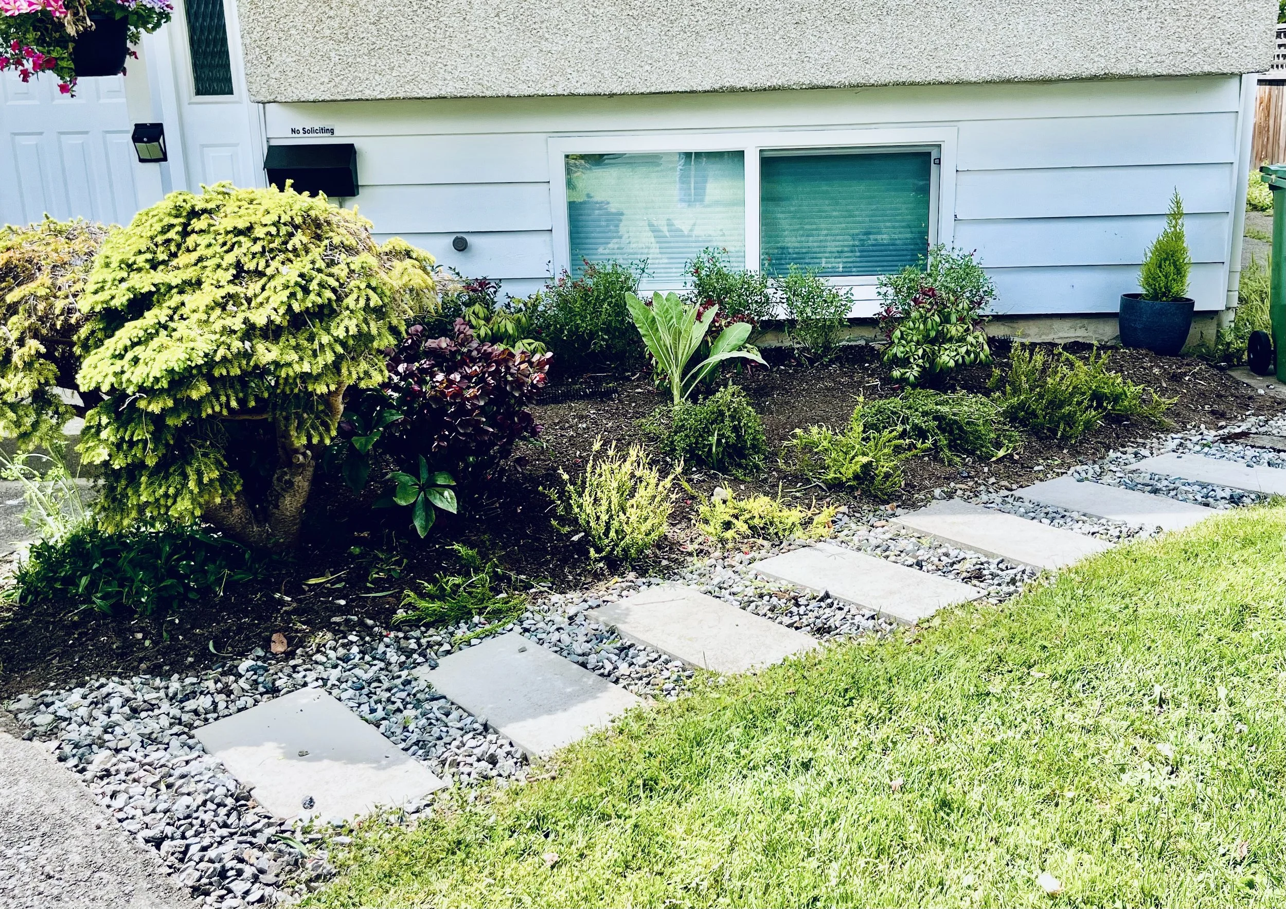 An after image of a tidy and weeded garden.