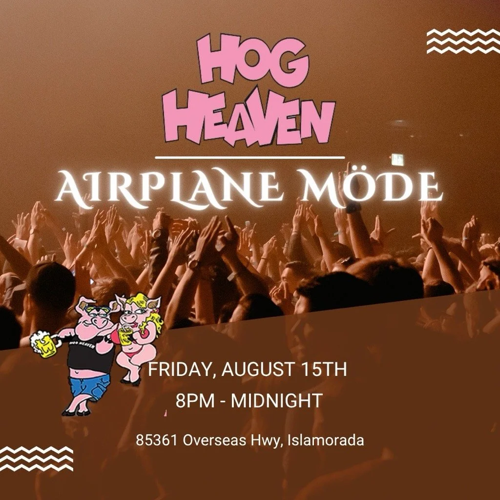 Airplane Möde Live at Hog Heaven