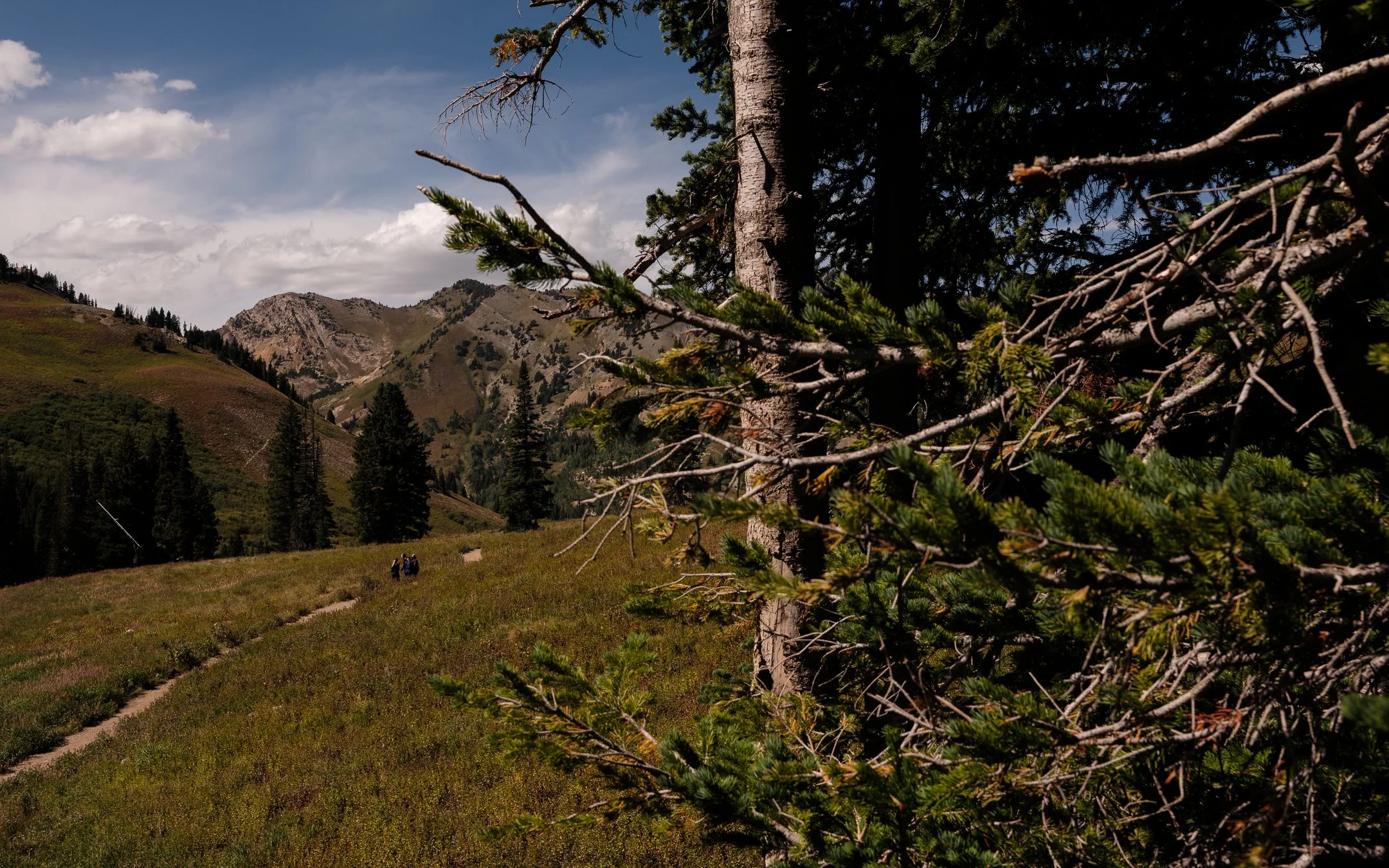 DSCF4974.jpg