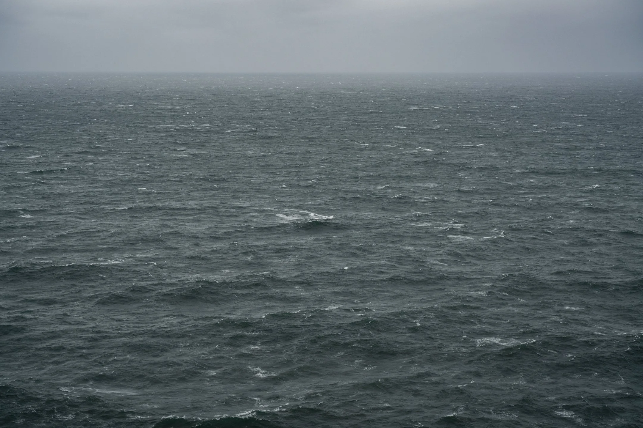 DSC09513.jpg