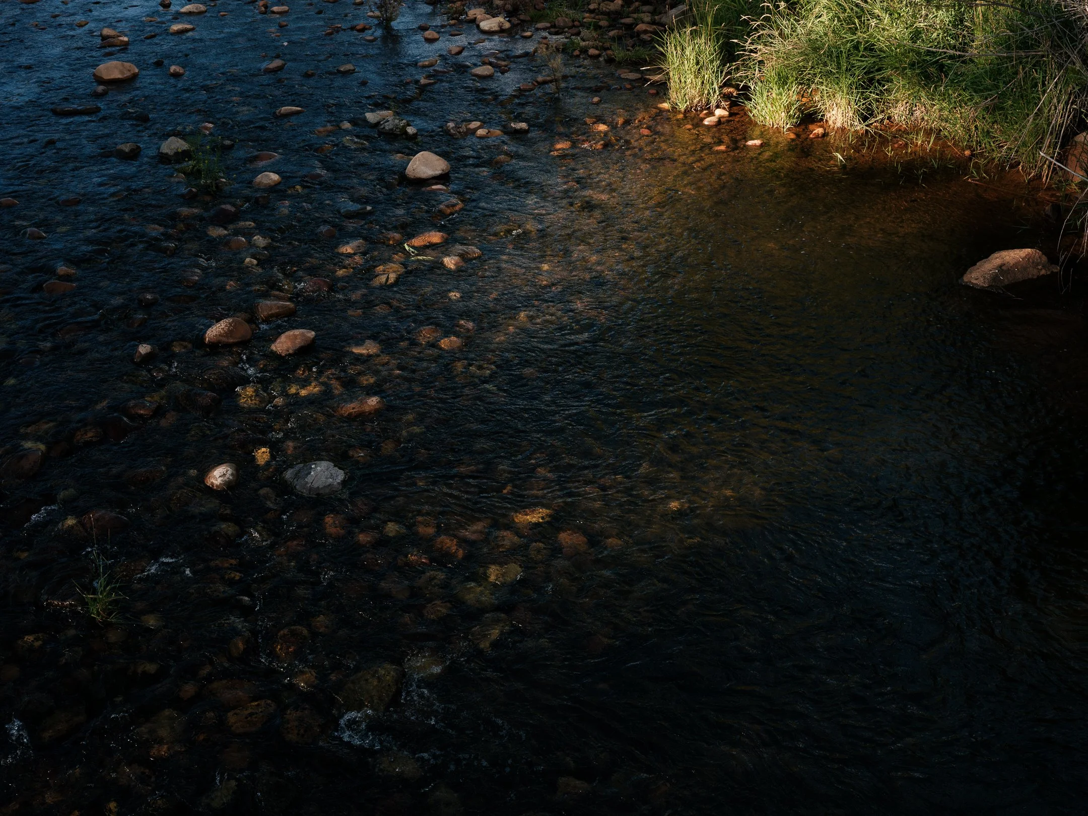 DSCF4598.jpg
