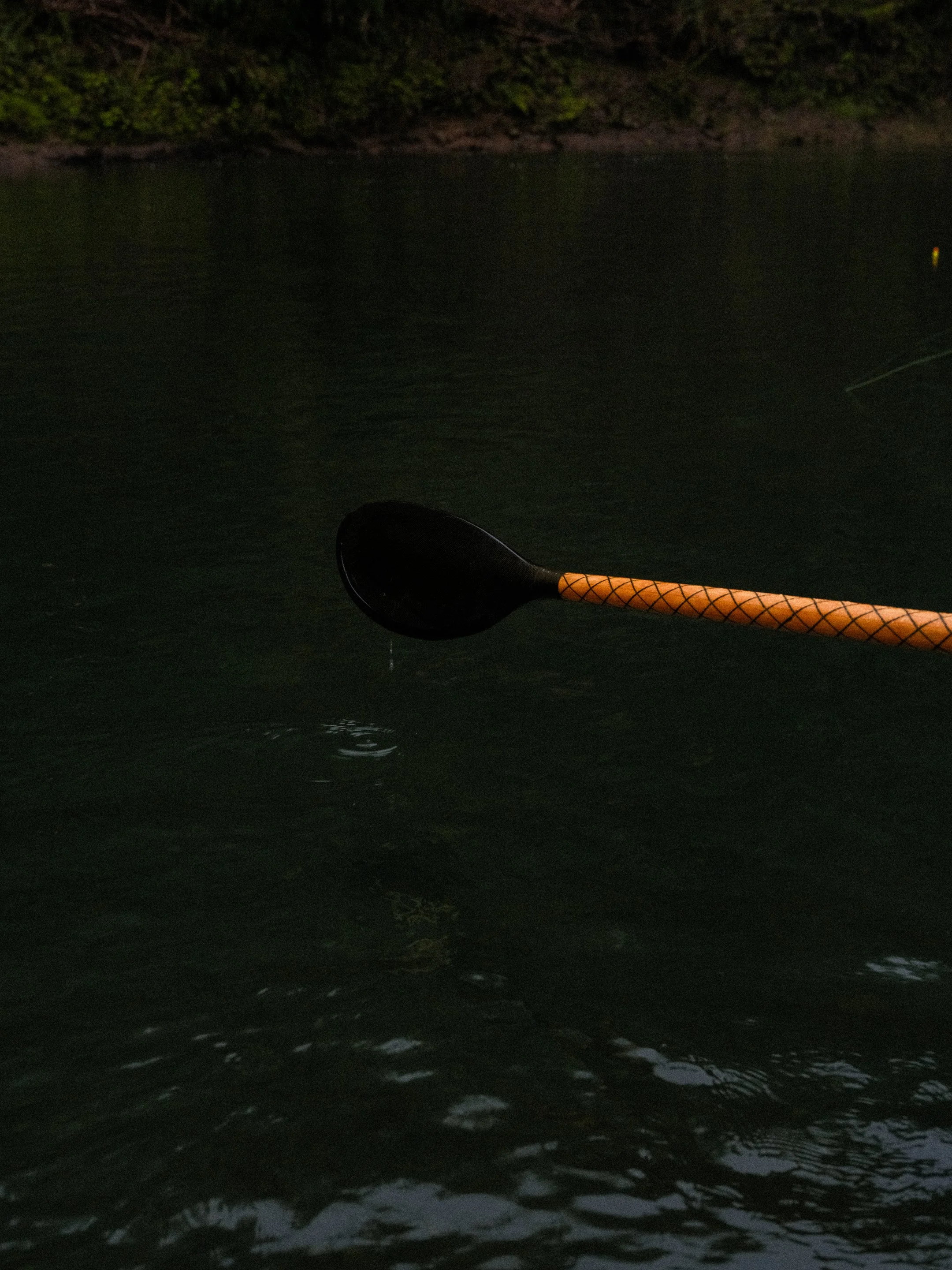 DSCF7068.jpg