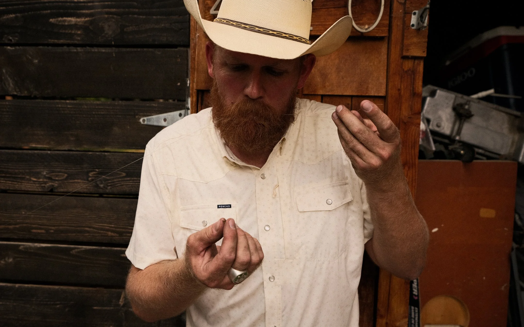DSCF6974.jpg