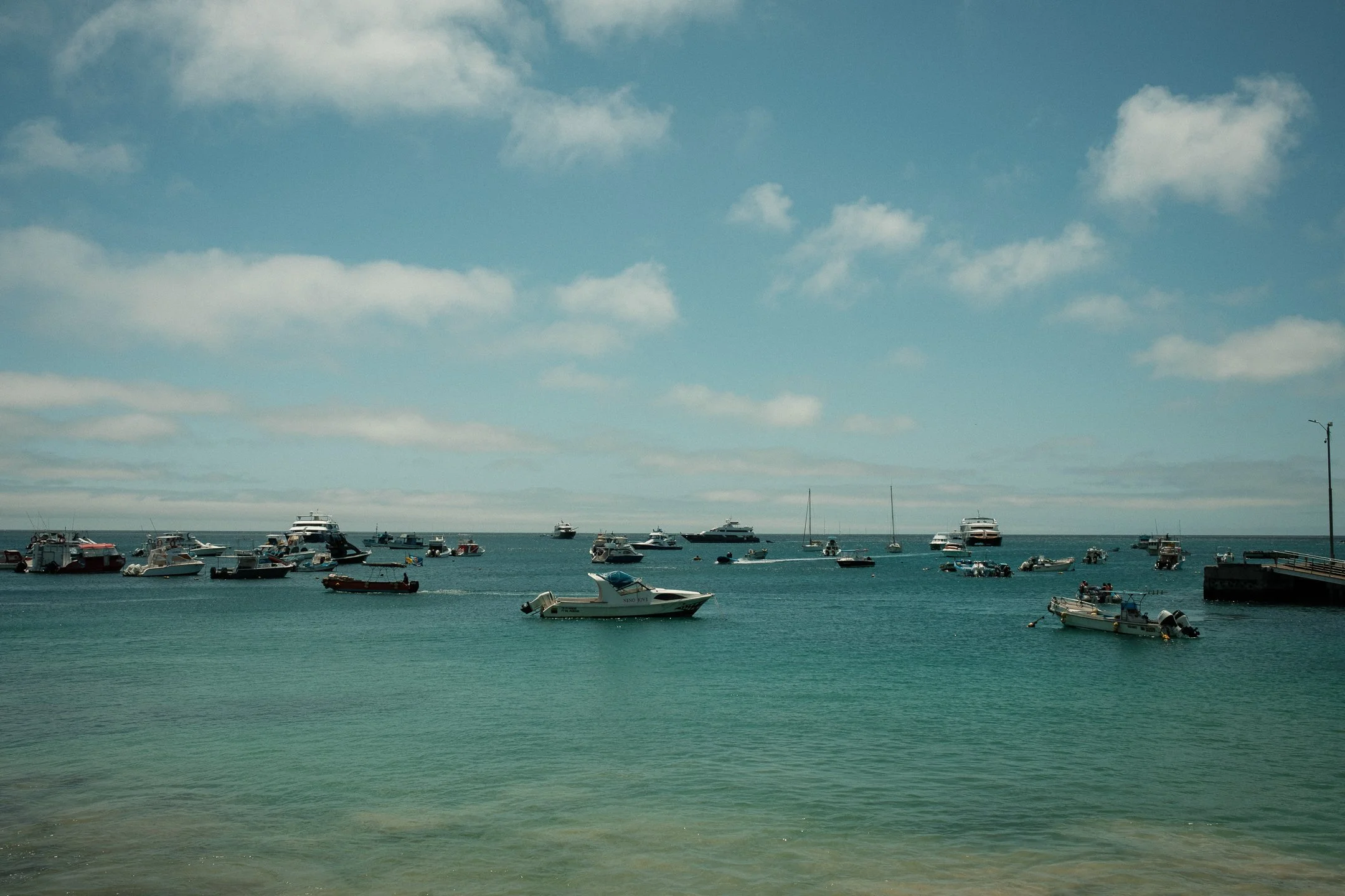 DSCF0621.jpg