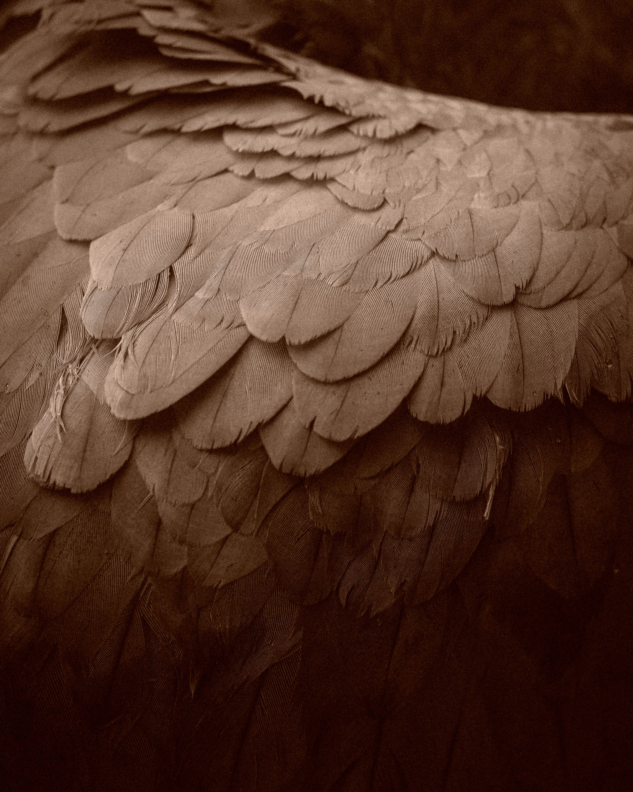 DSCF8864-3.jpg
