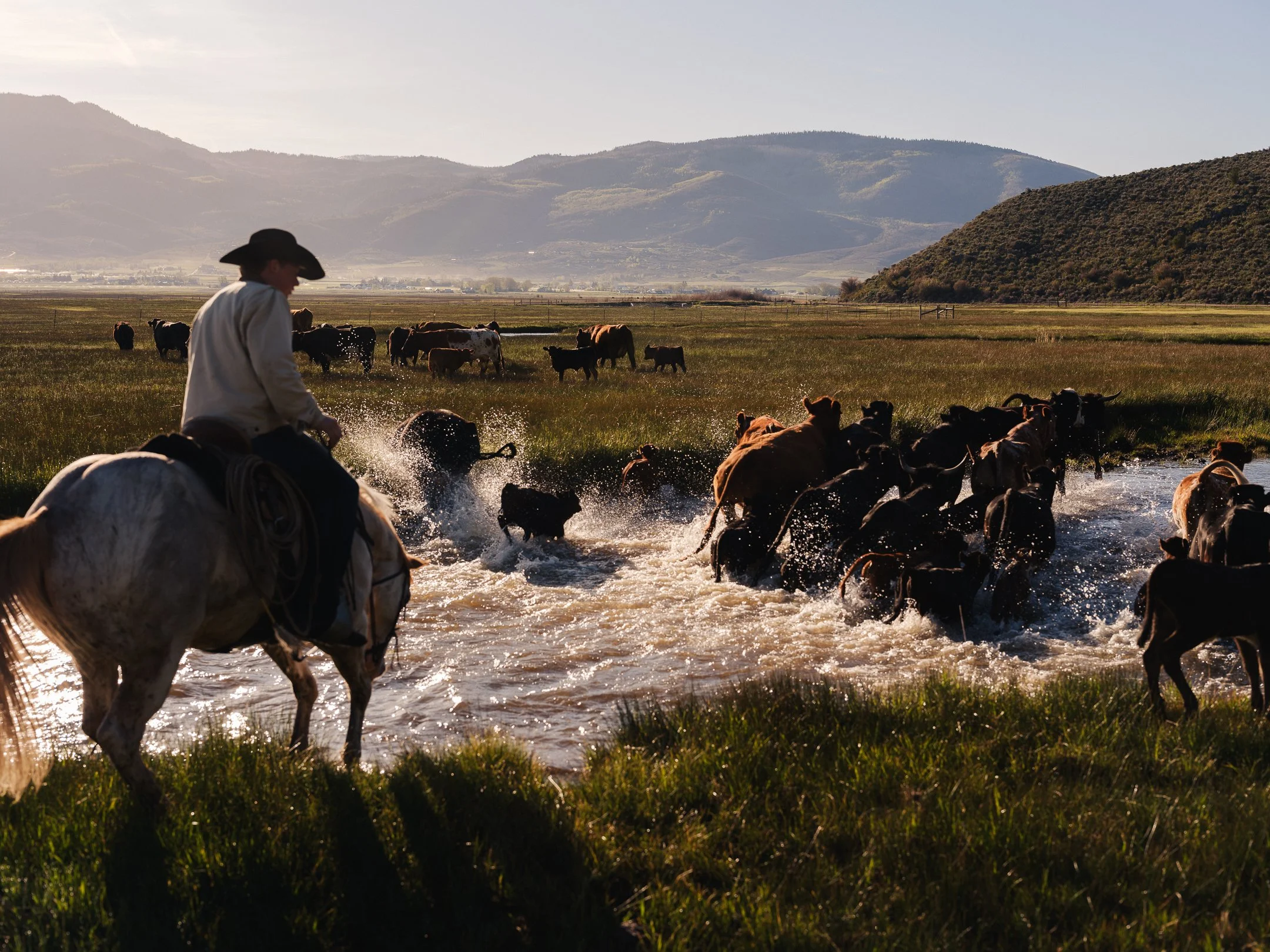 Bolt Ranch
Commercial
See the Video