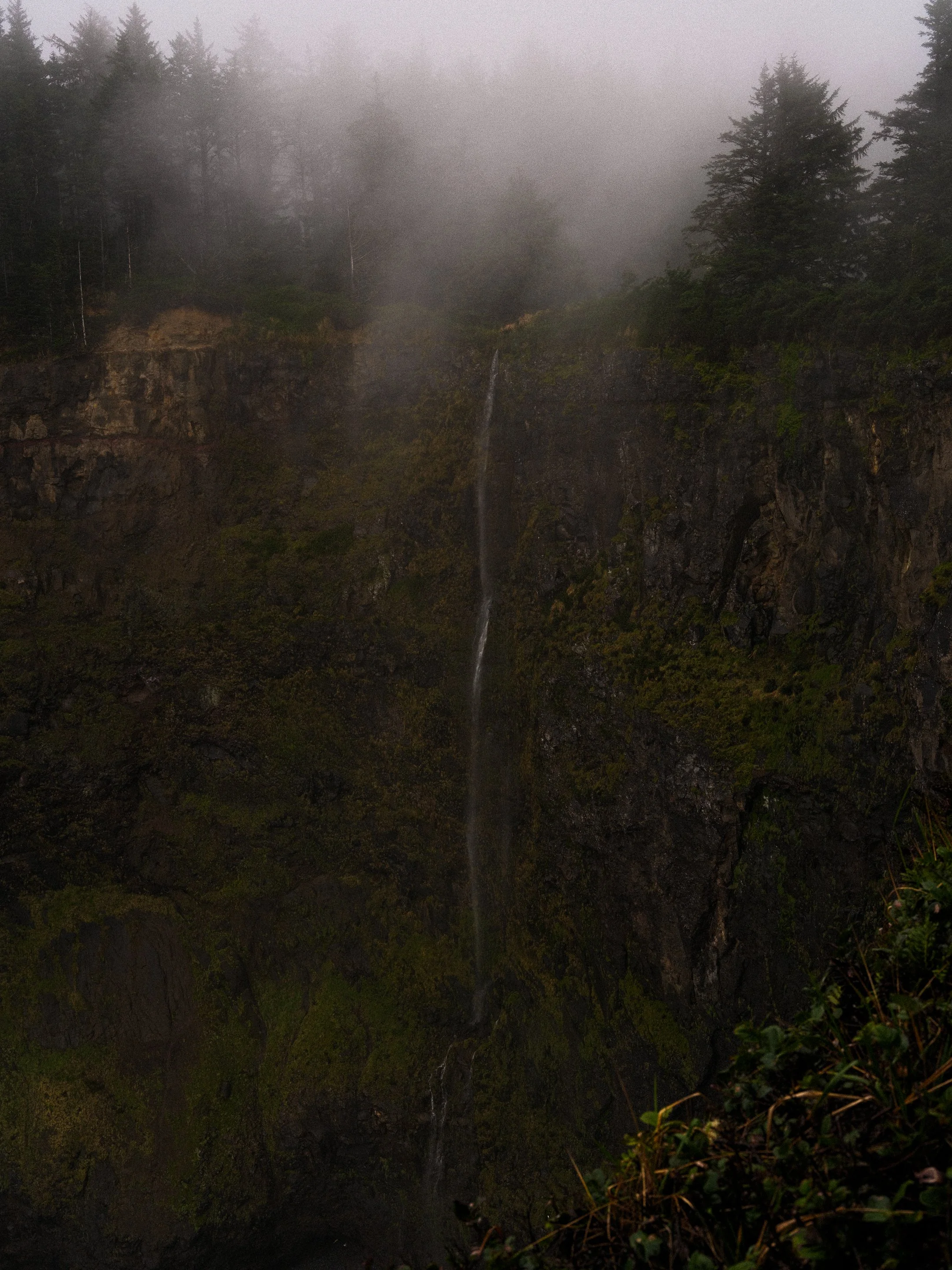 DSCF7457.jpg