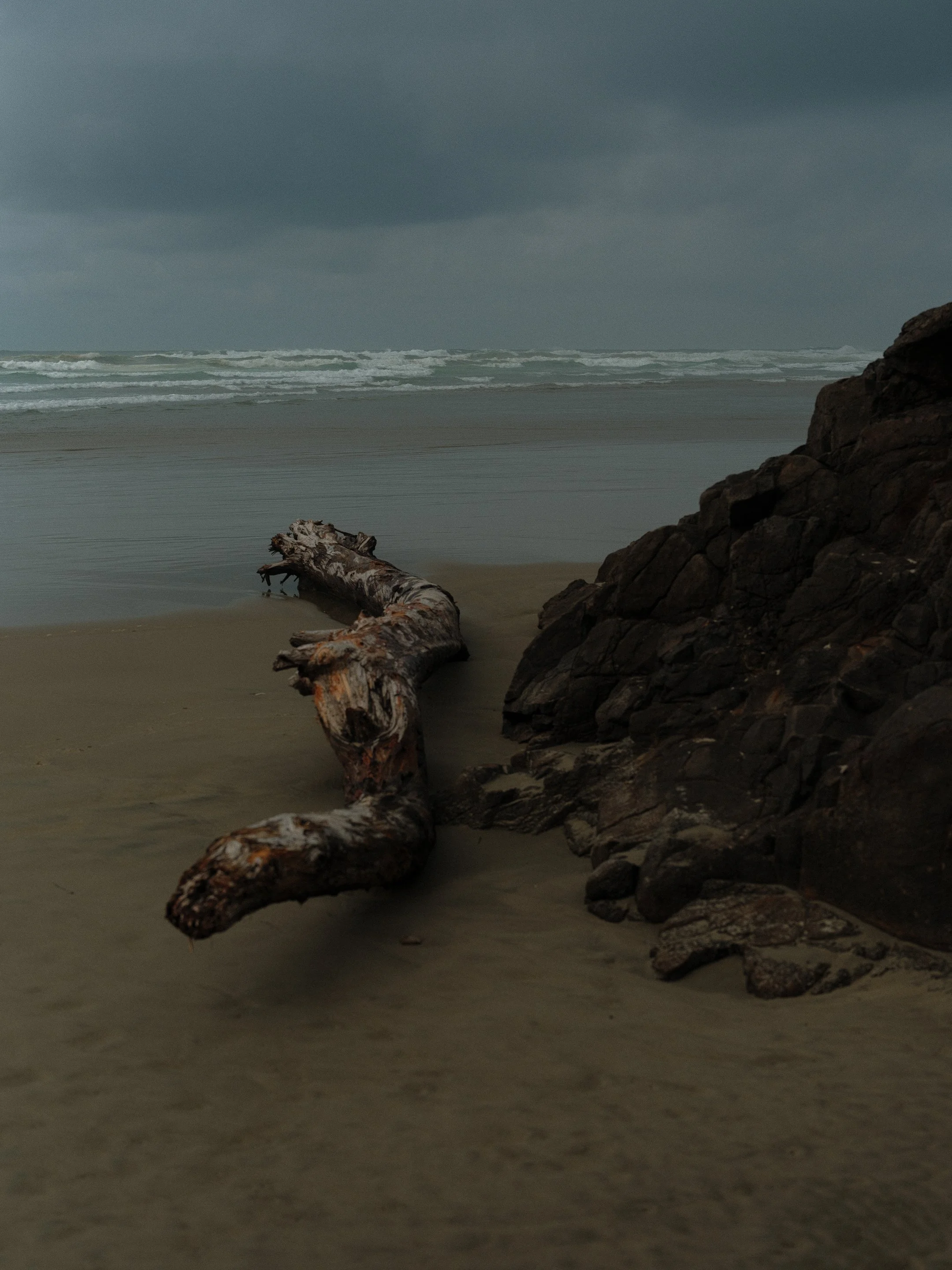 DSCF6913.jpg