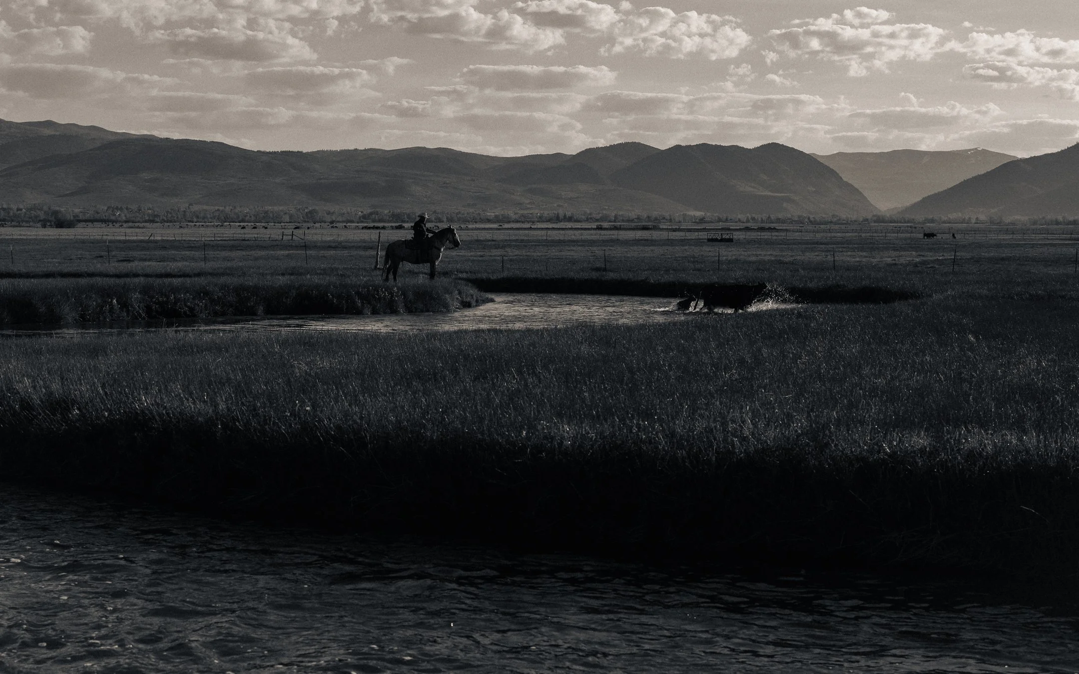 DSCF9588.jpg