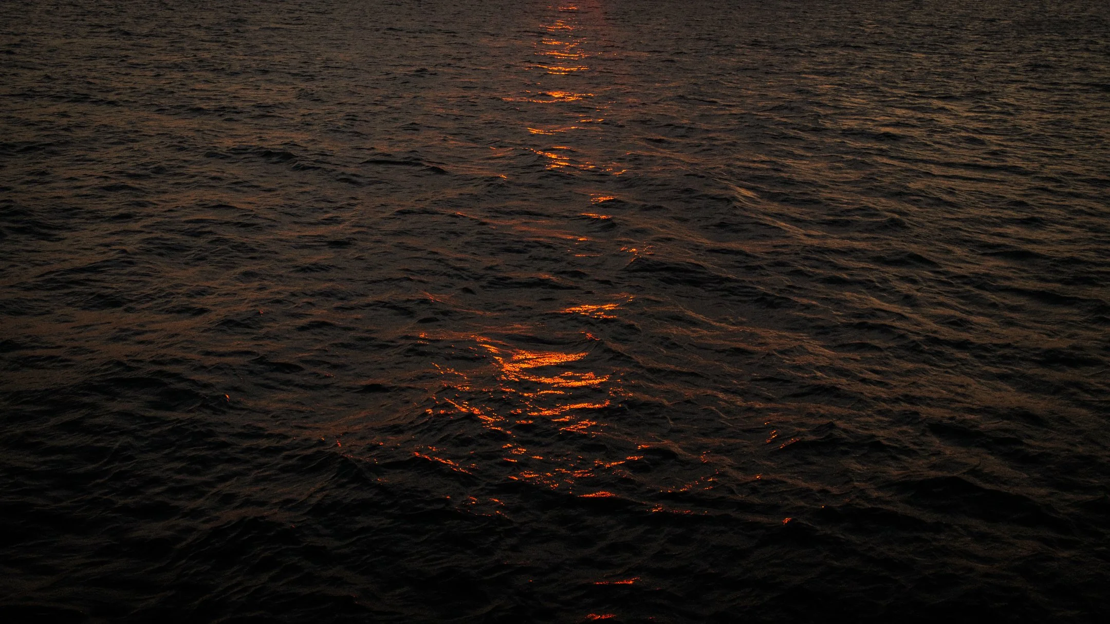 DSCF1624.jpg