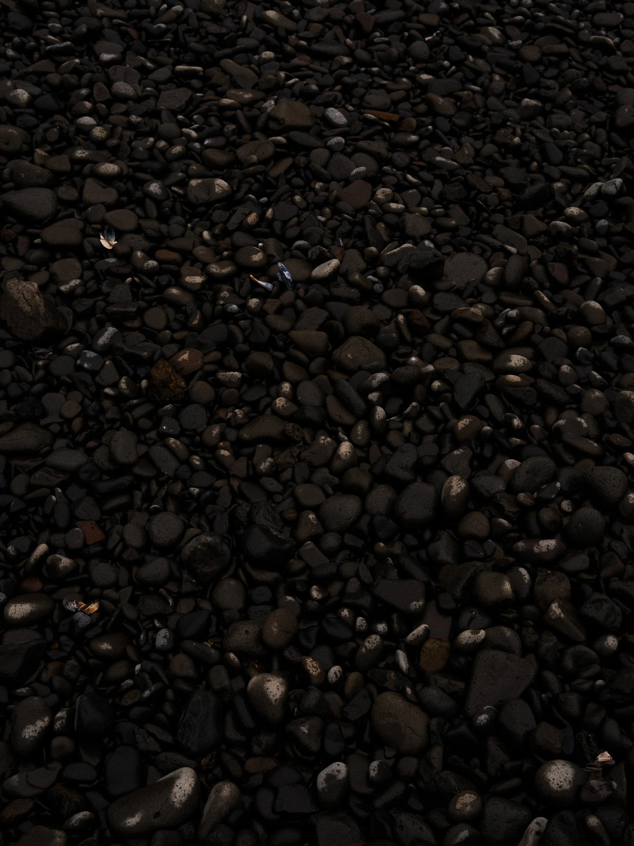 DSCF7471.jpg