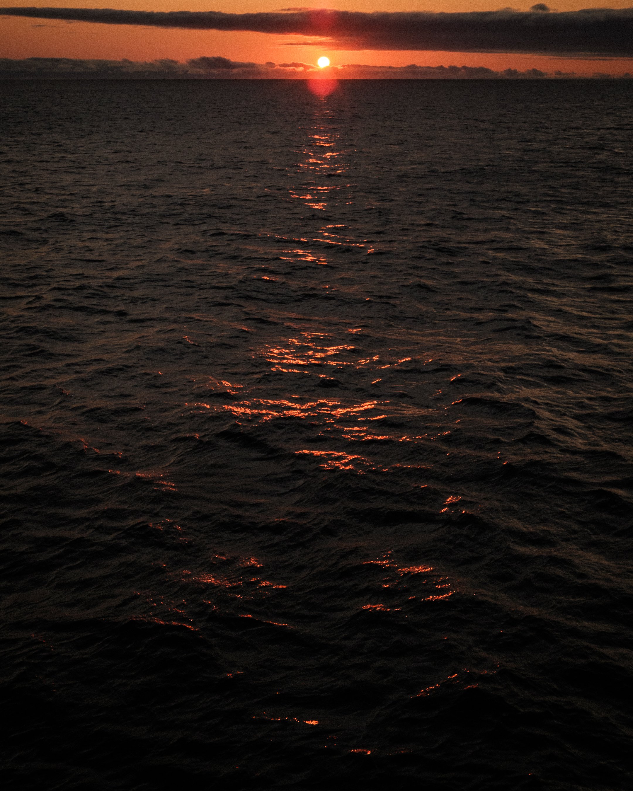 DSCF1621.jpg