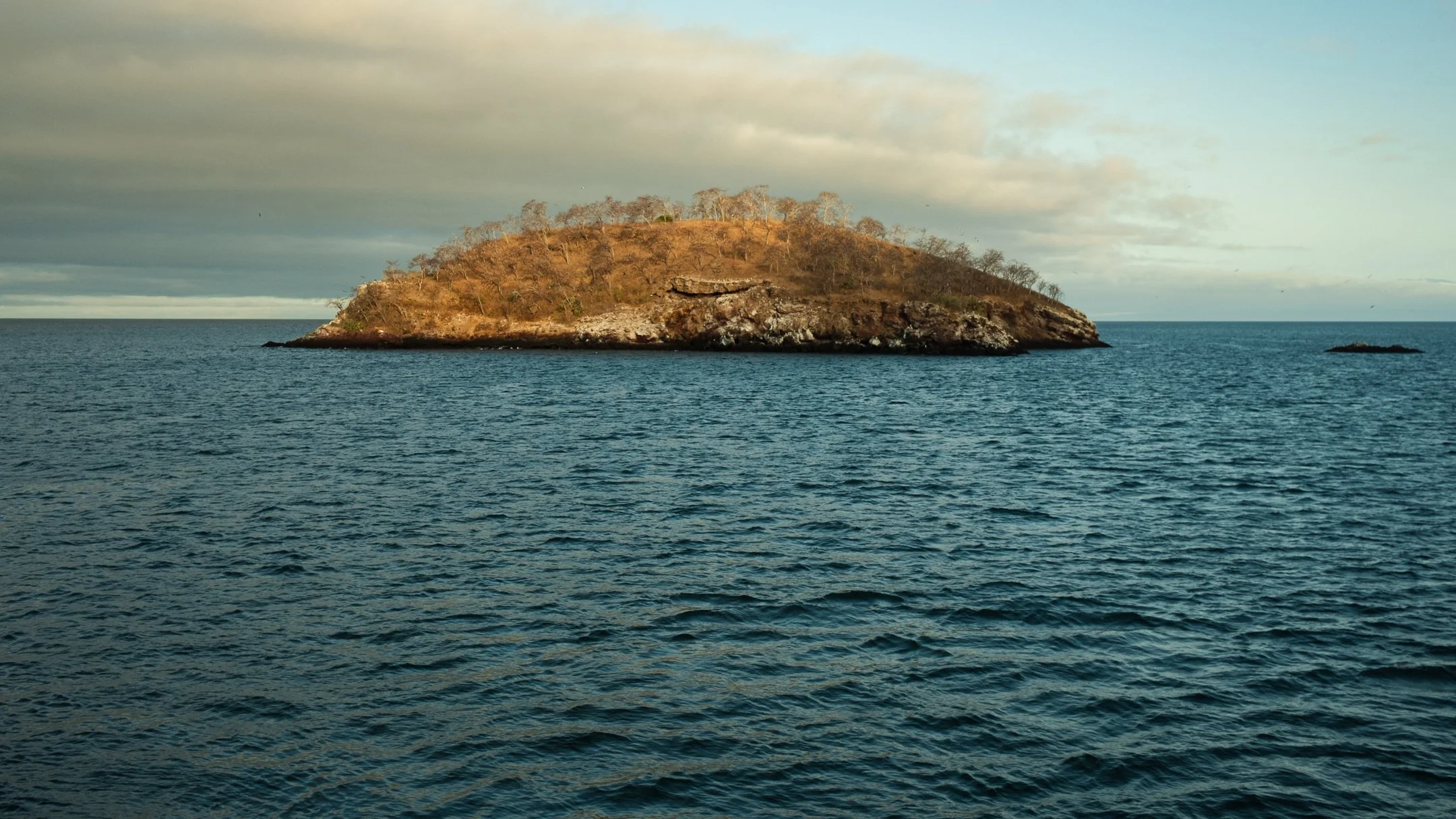 DSCF2684.jpg