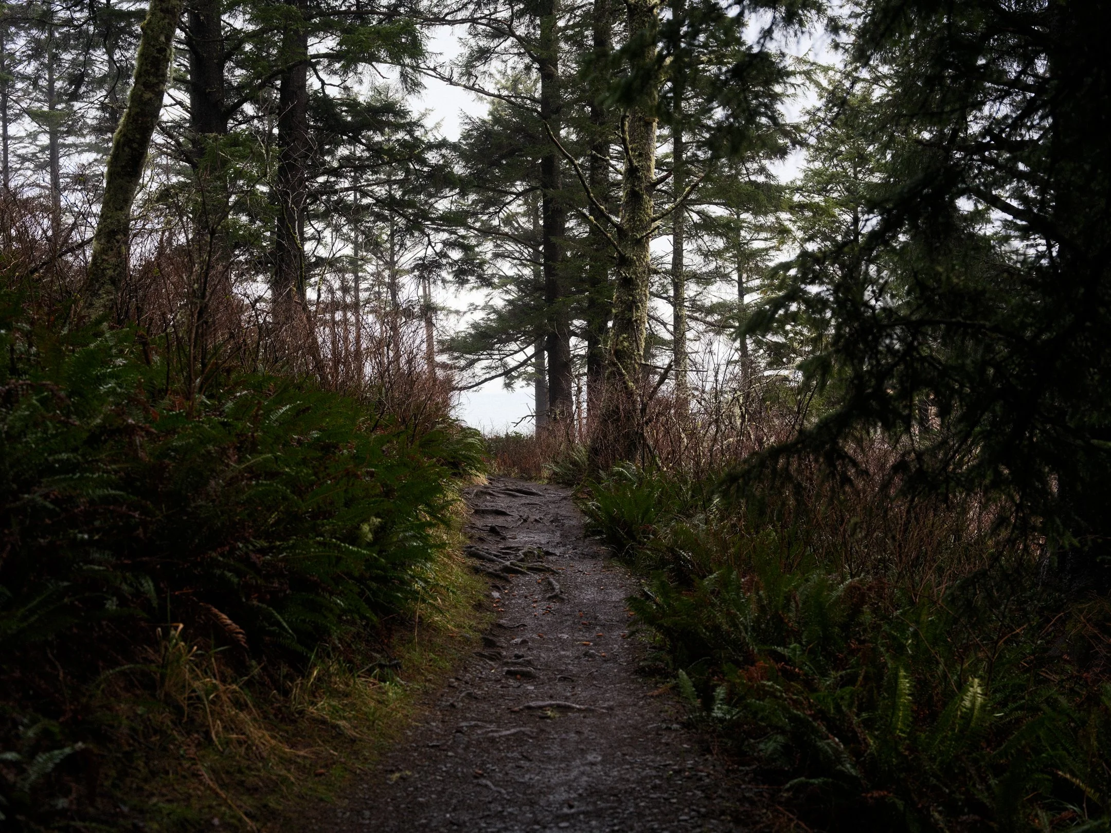 DSCF7147.jpg