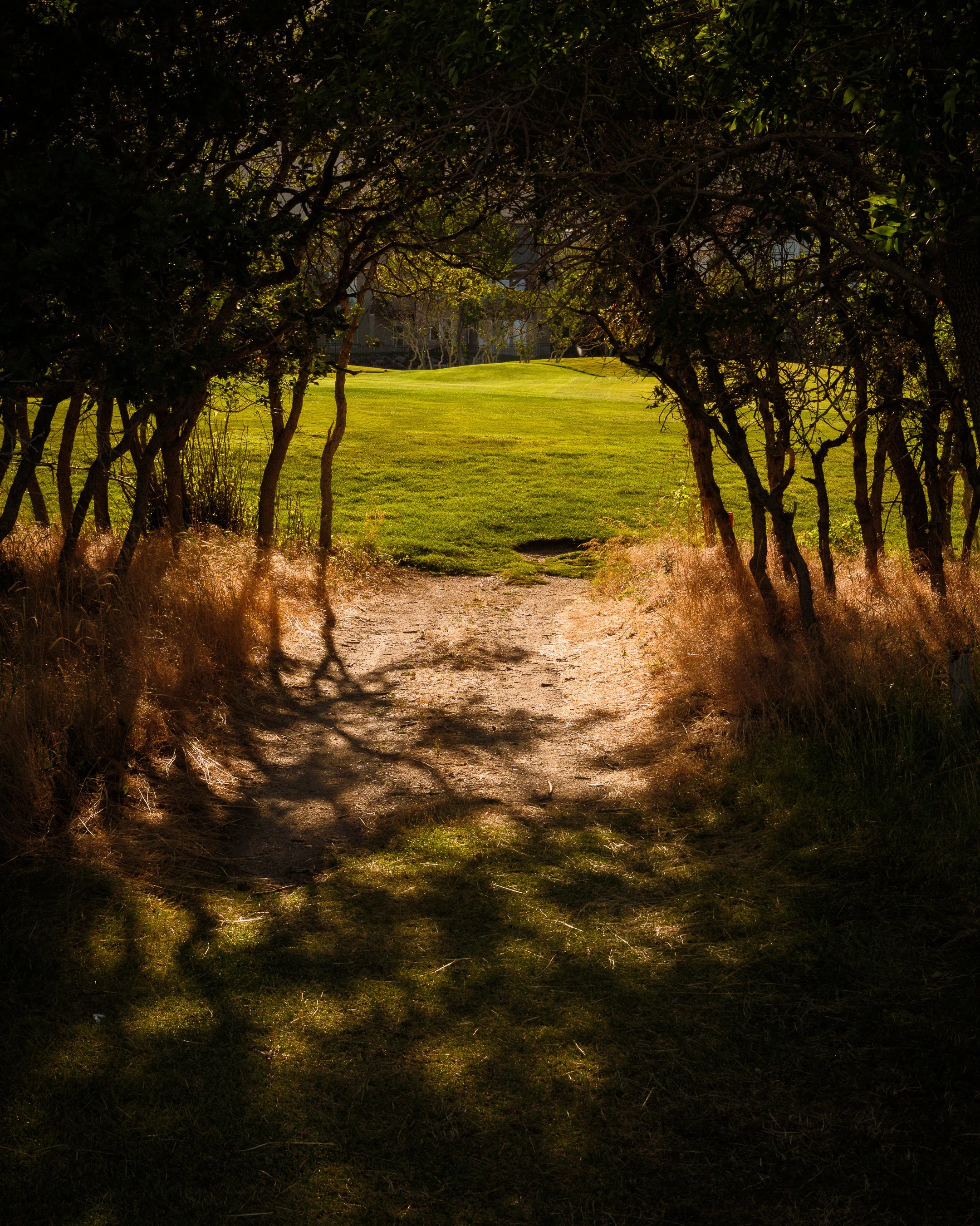 DSCF5964.jpg