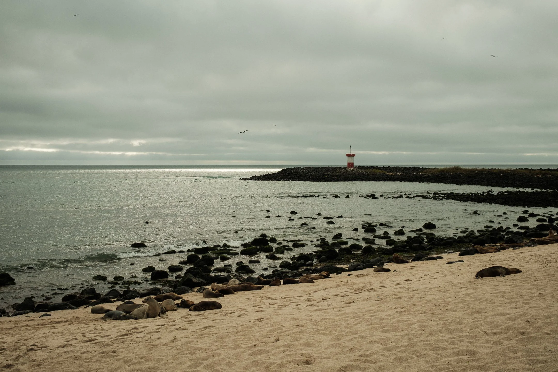 DSCF0740.jpg