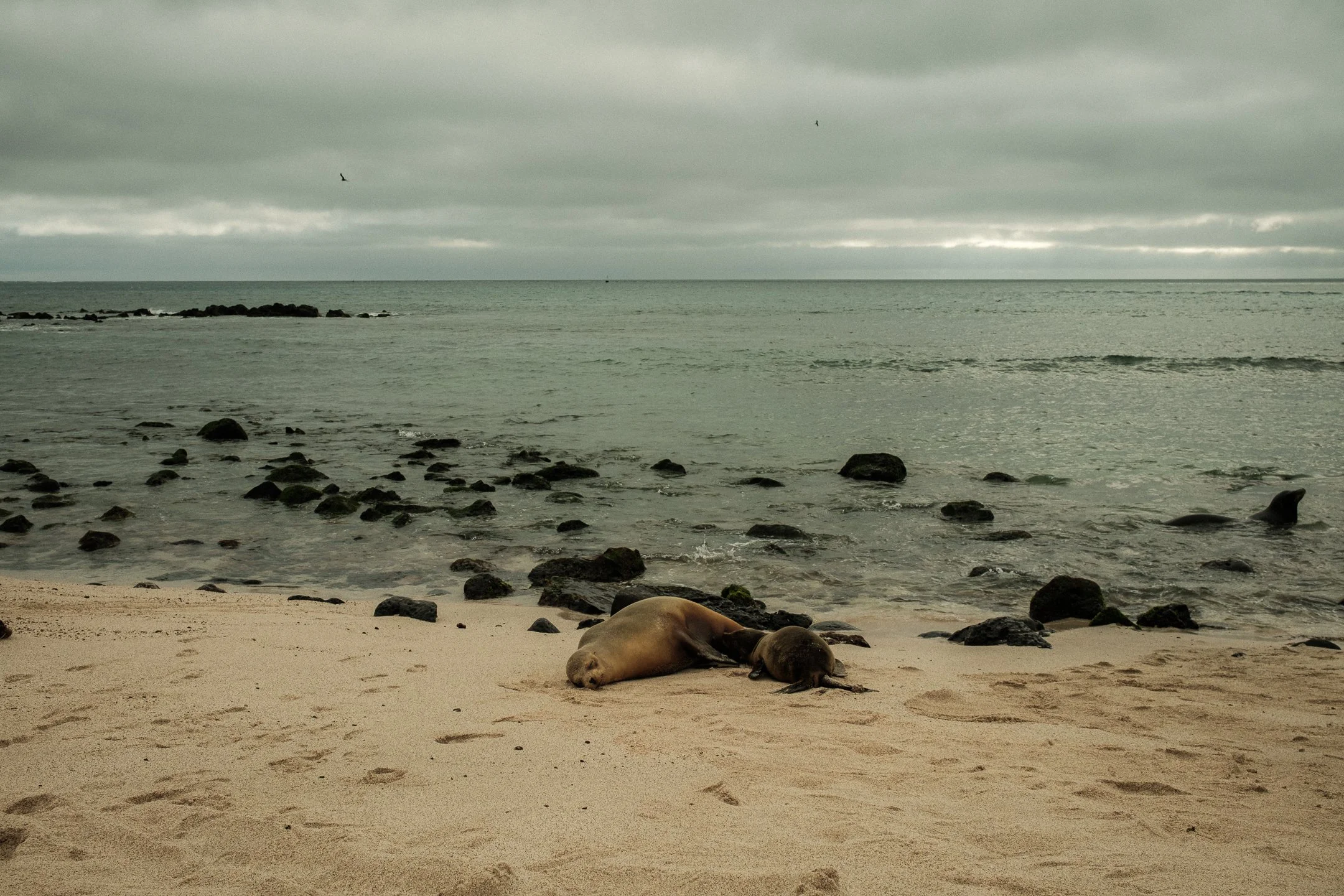 DSCF0744.jpg