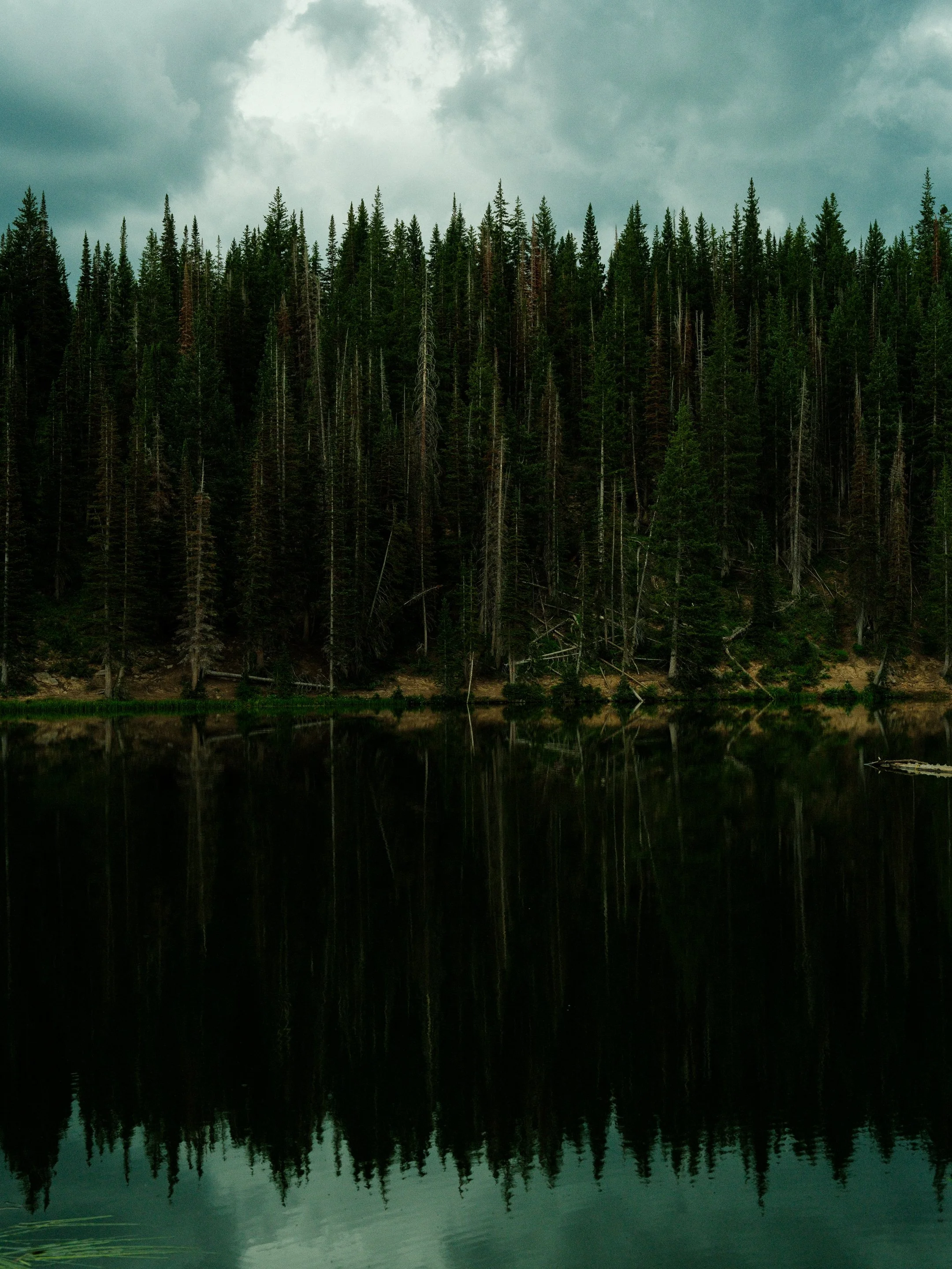DSCF9813.jpg