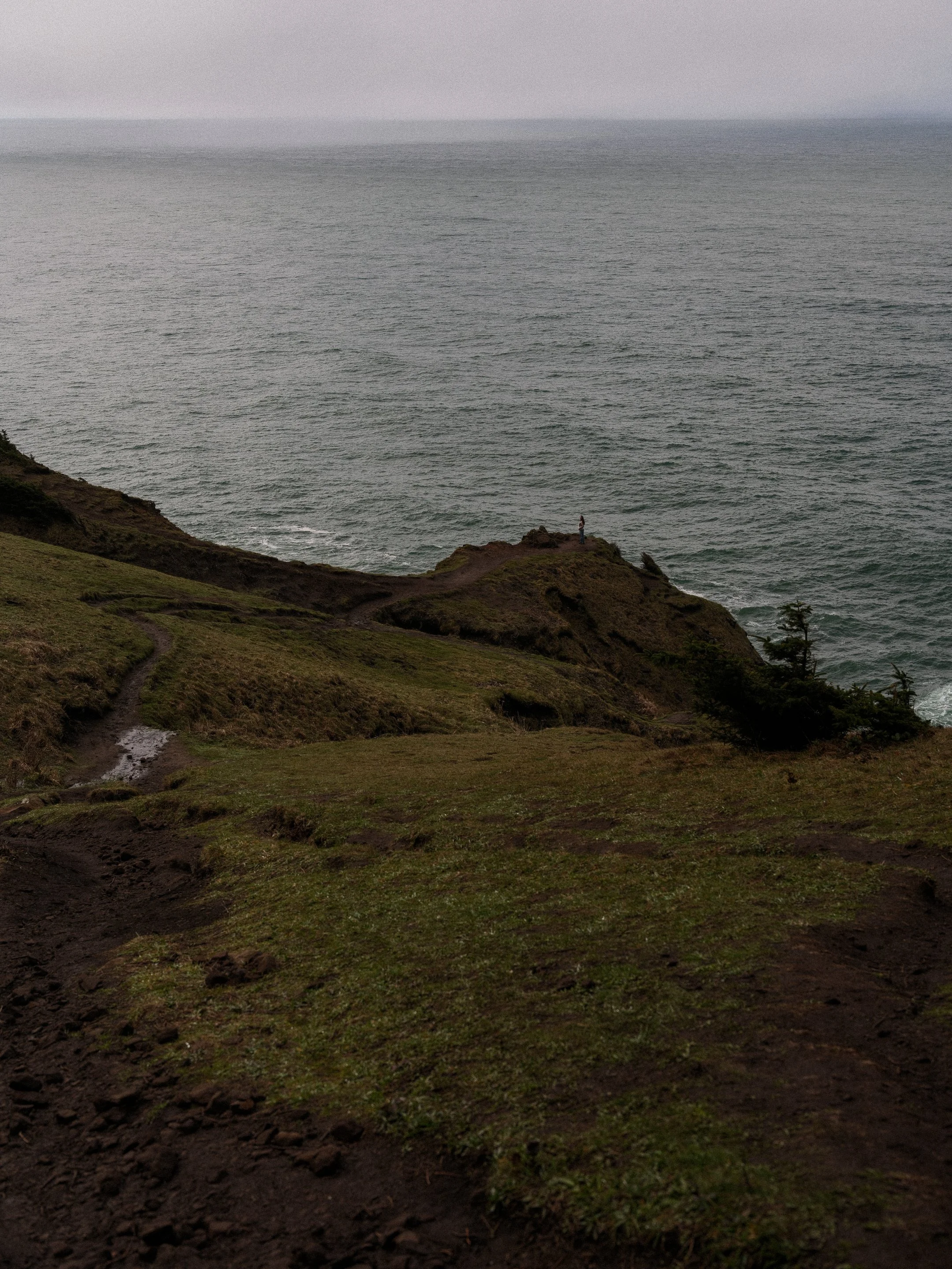 DSCF7219.jpg