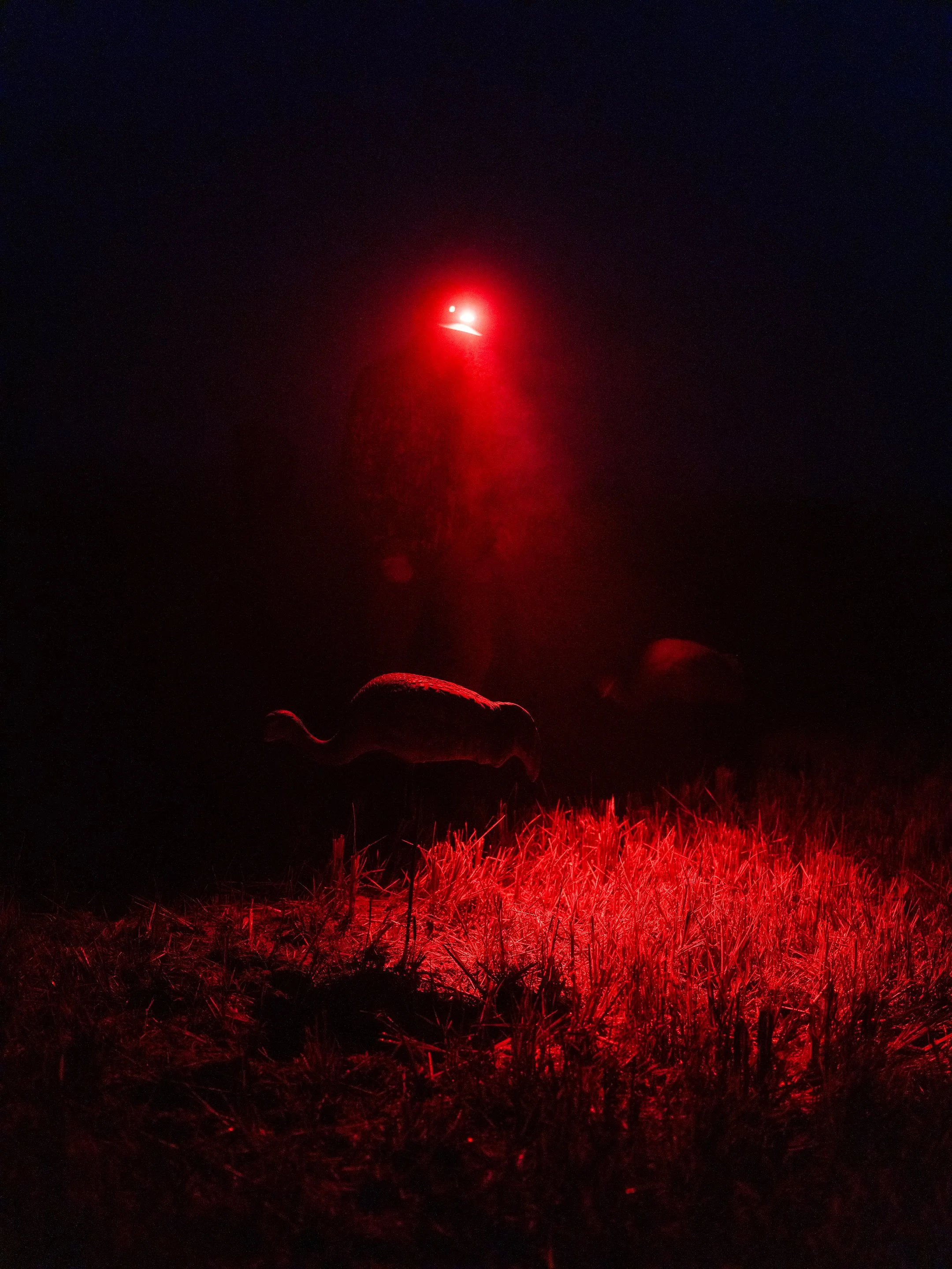 DSCF8735.jpg