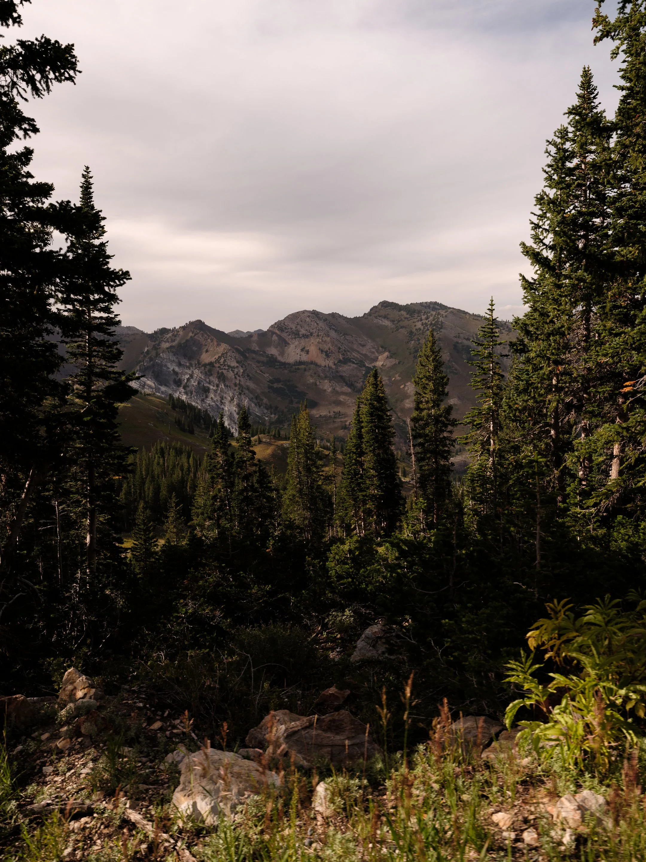 DSCF5317.jpg