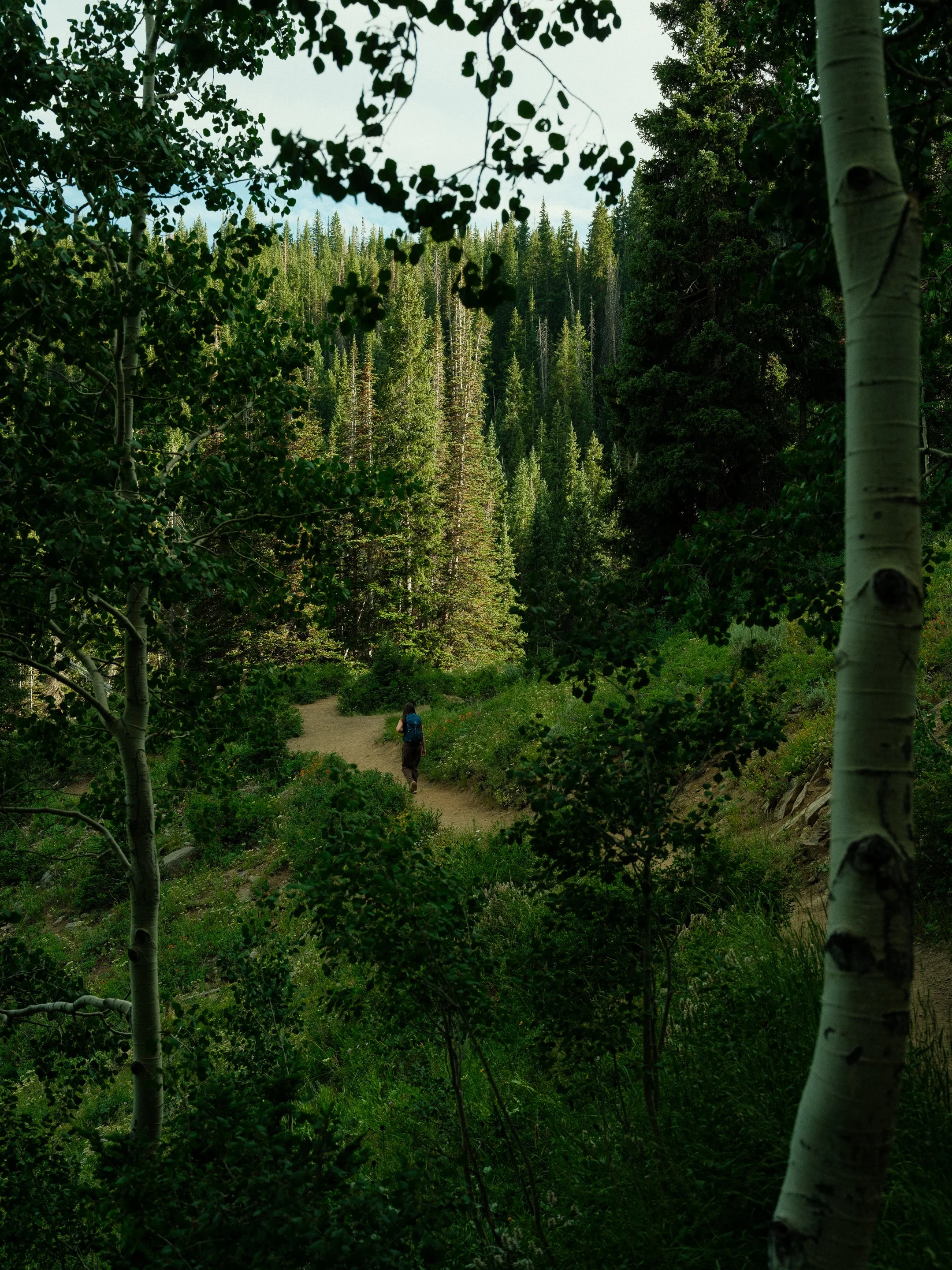 DSCF9334.jpg