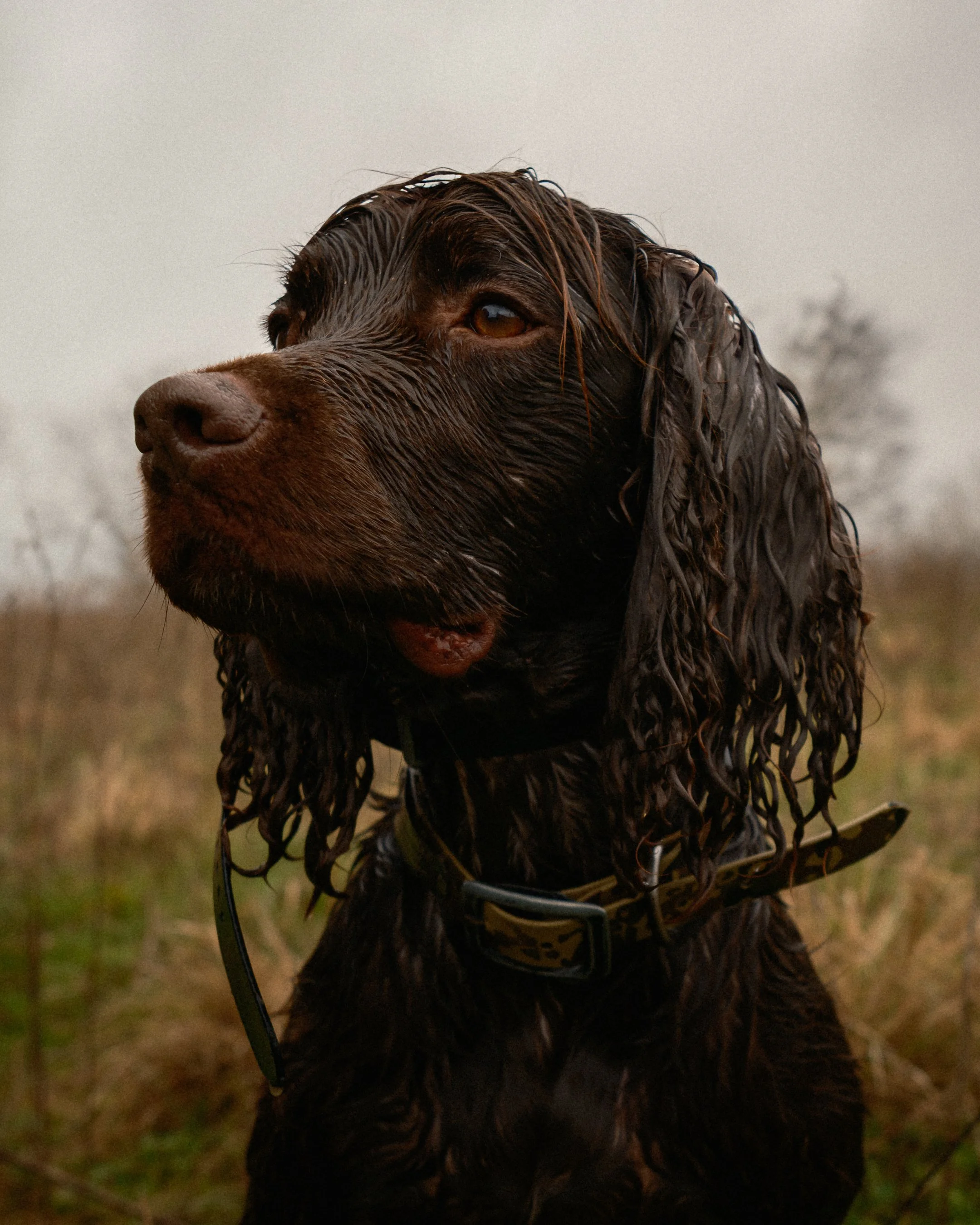 DSCF1614-3.jpg