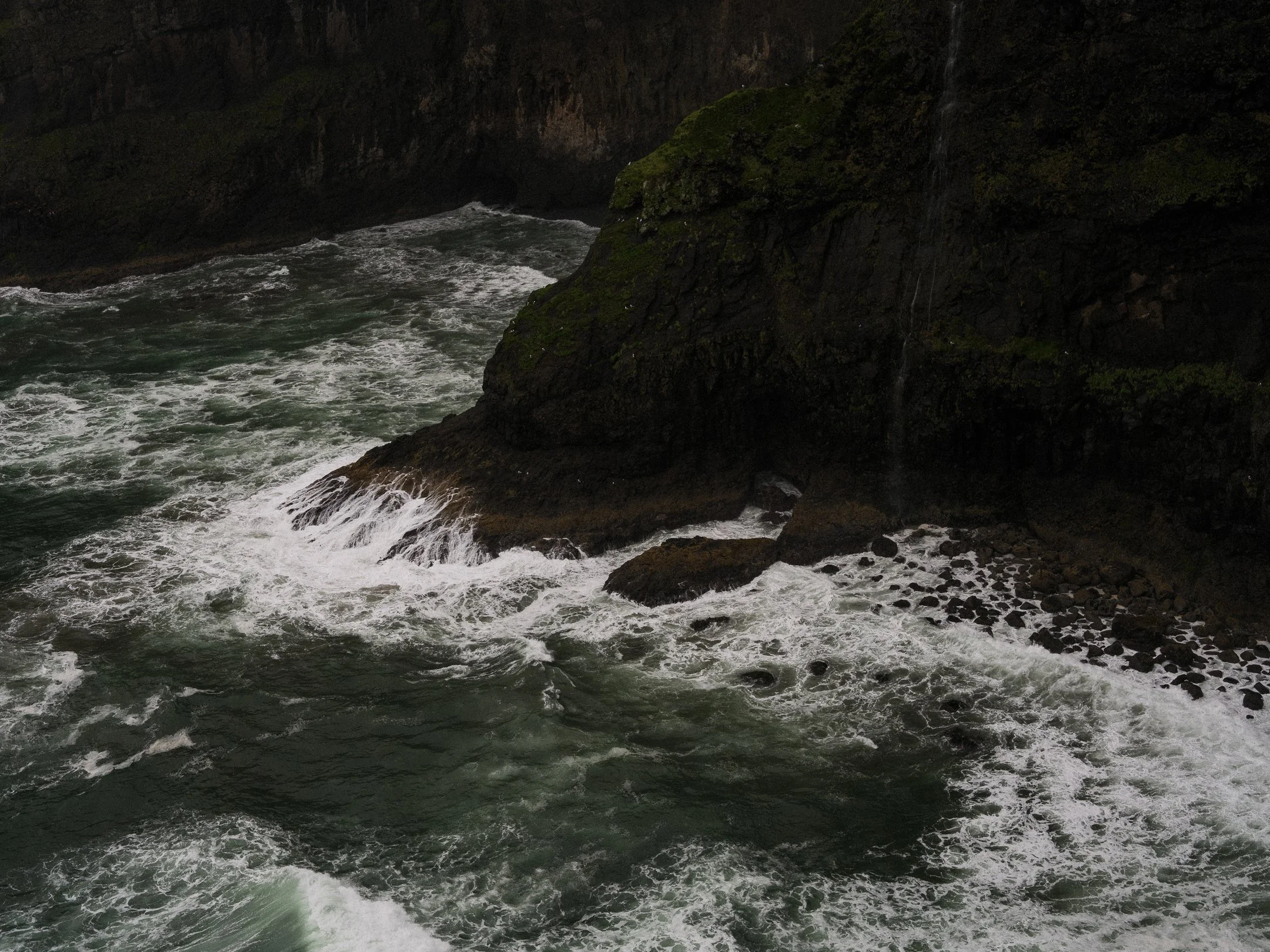 DSCF7455.jpg
