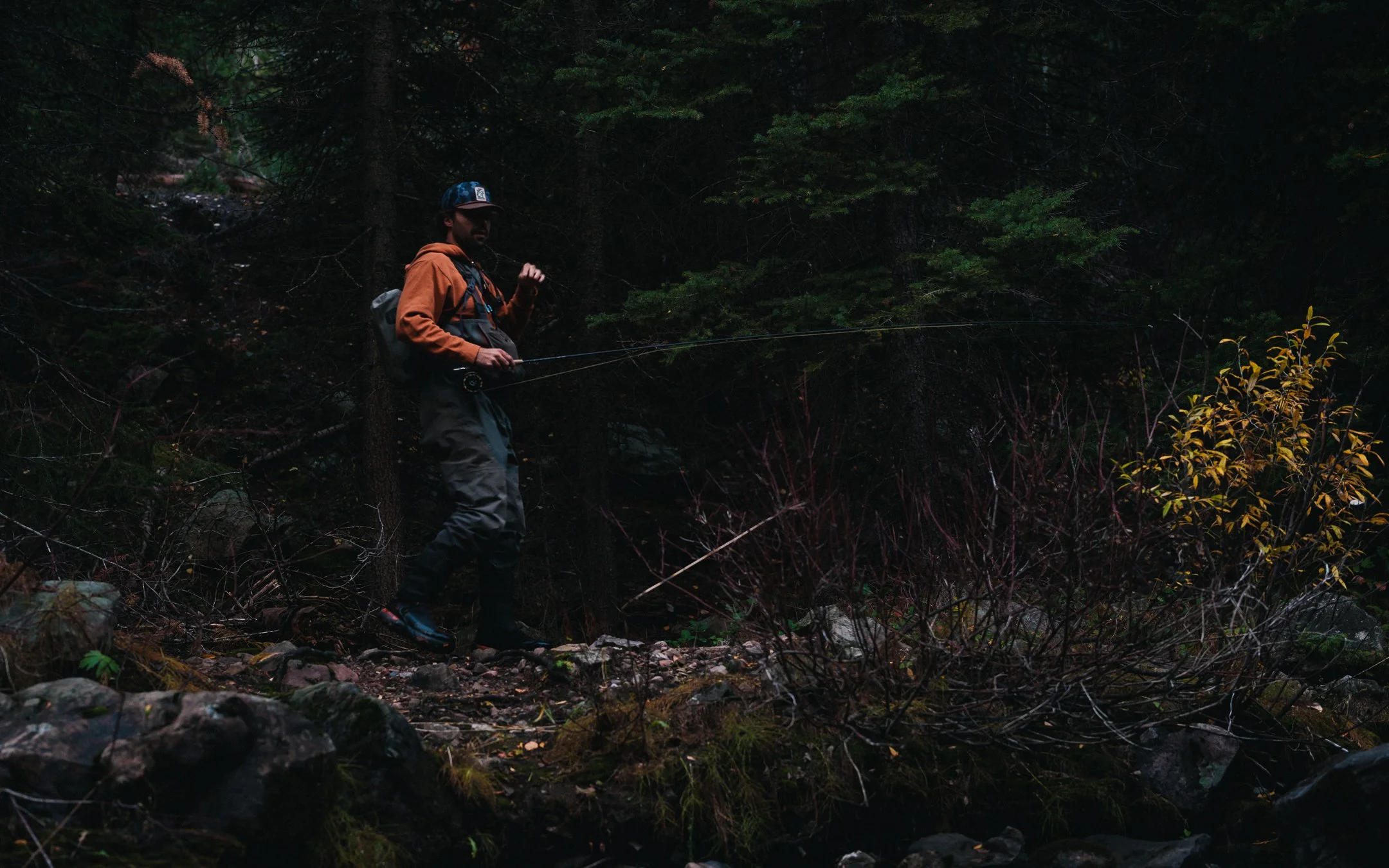 Wild Fly Productions