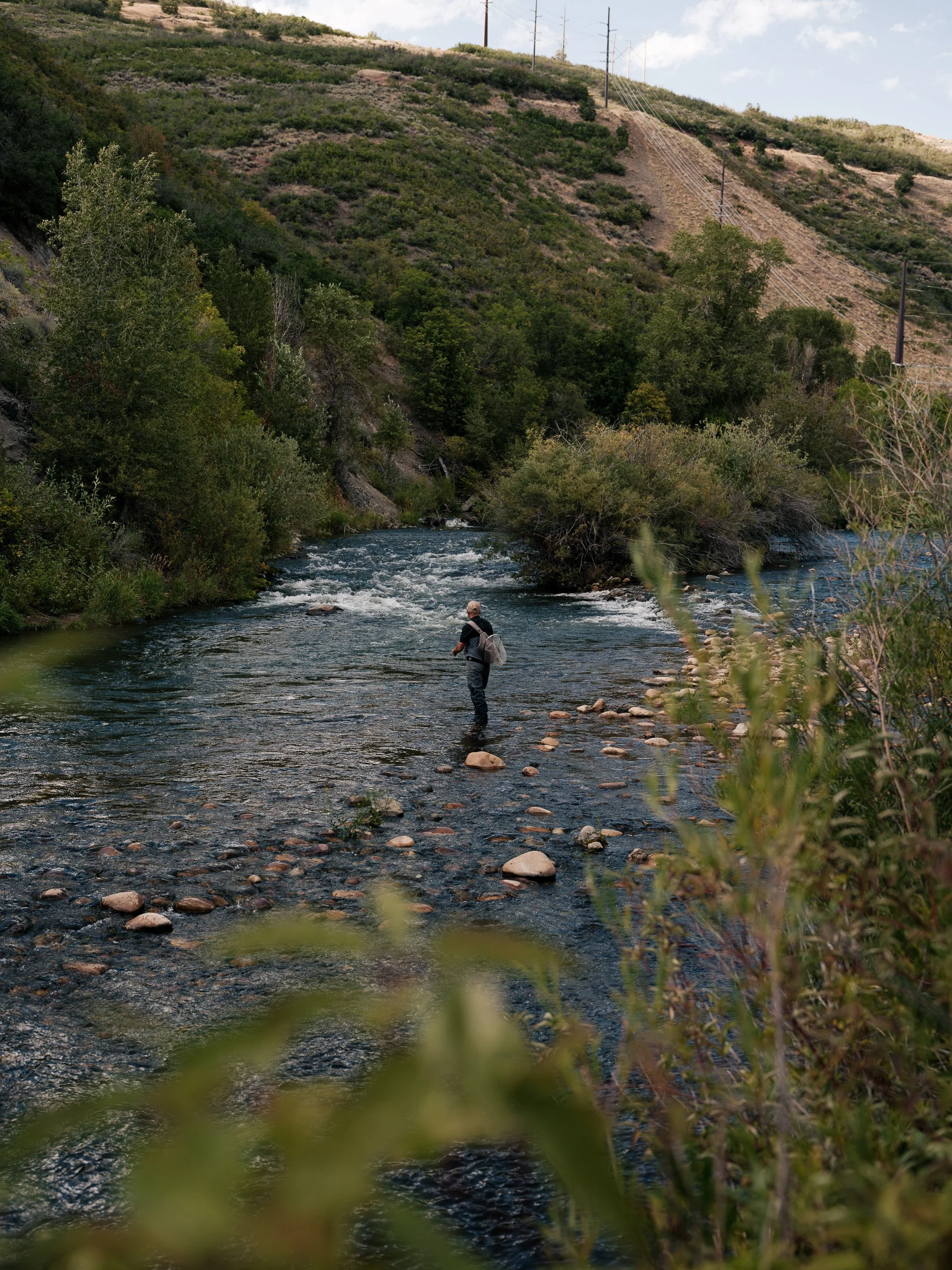 DSCF4394.jpg