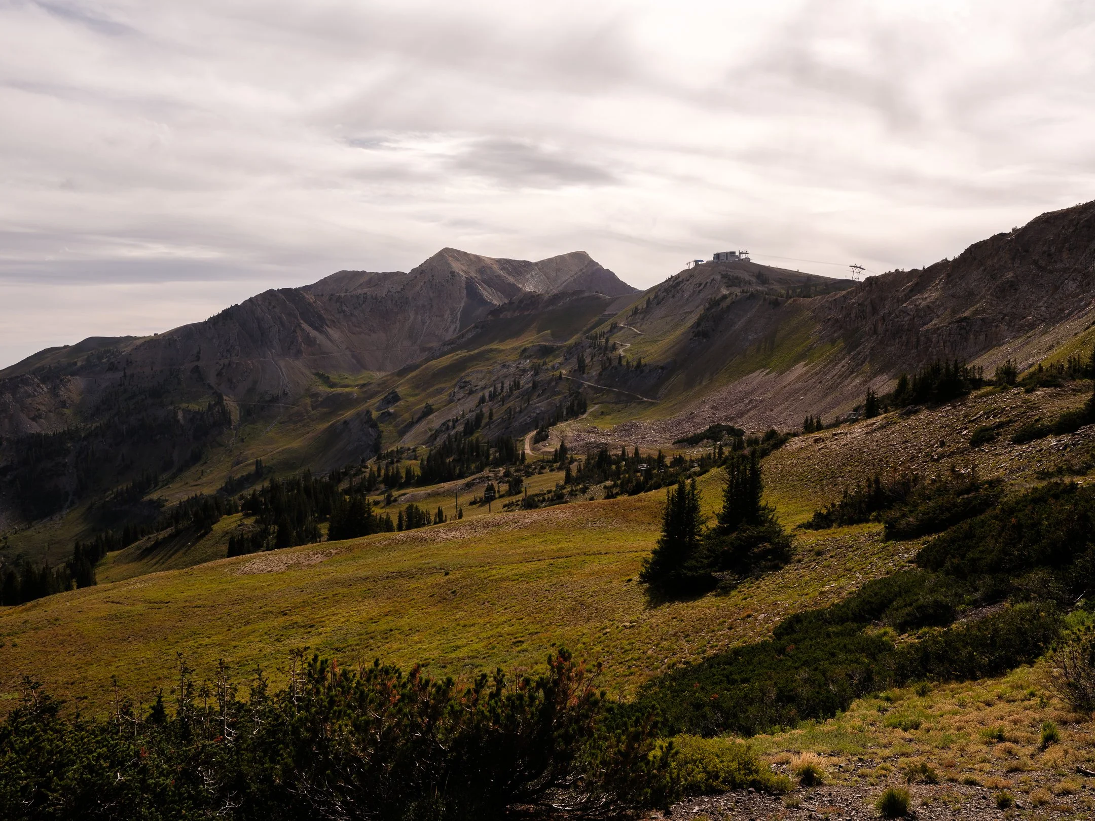 DSCF5259.jpg