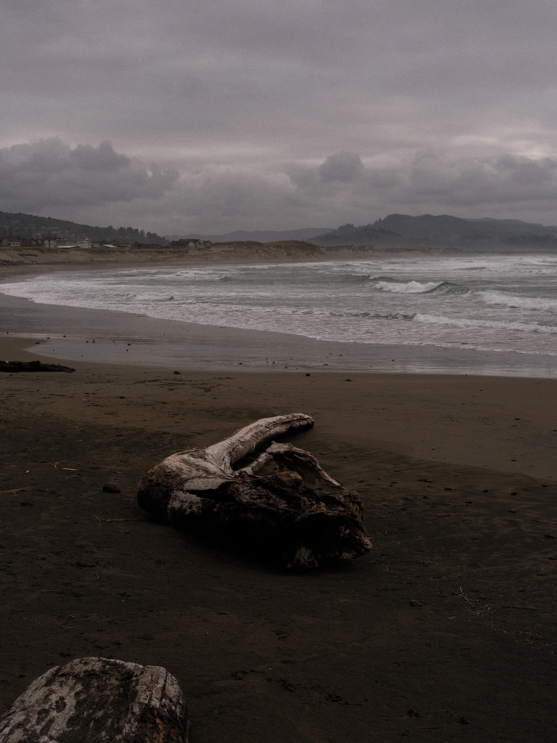 DSCF6970.jpg